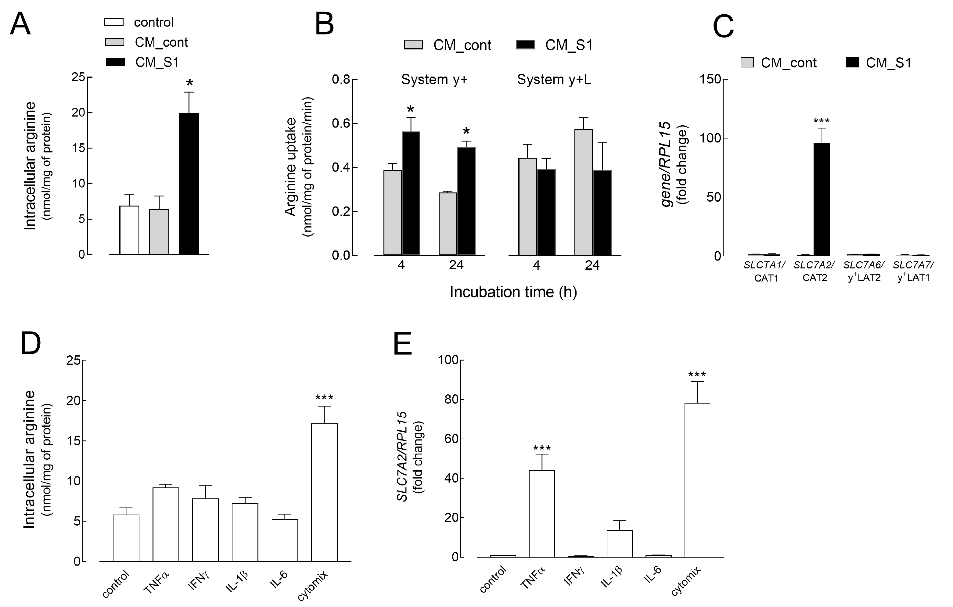 Ijms 26 05916 g004 Ijms 26 05916 g004