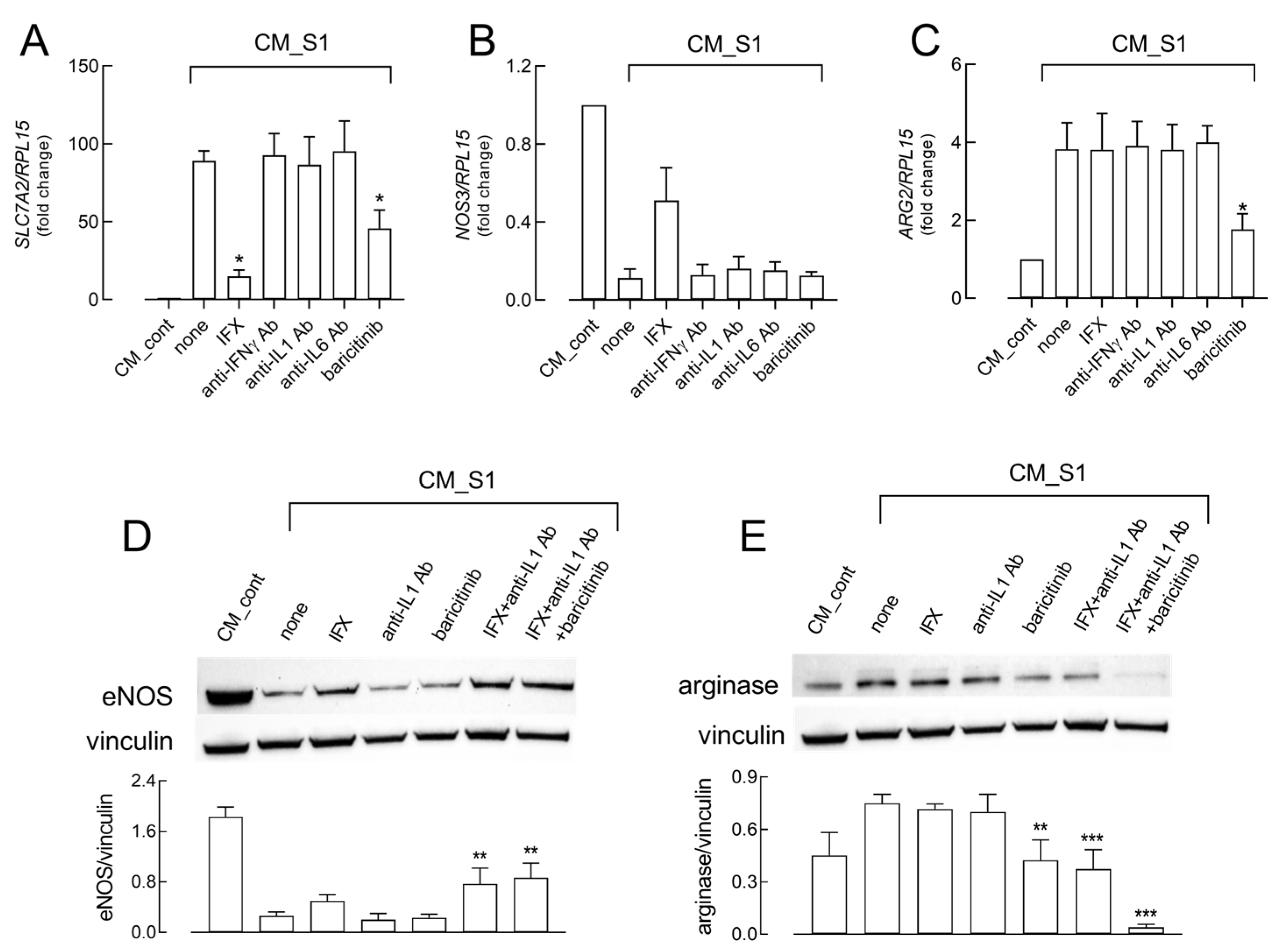 Ijms 26 05916 g005 Ijms 26 05916 g005
