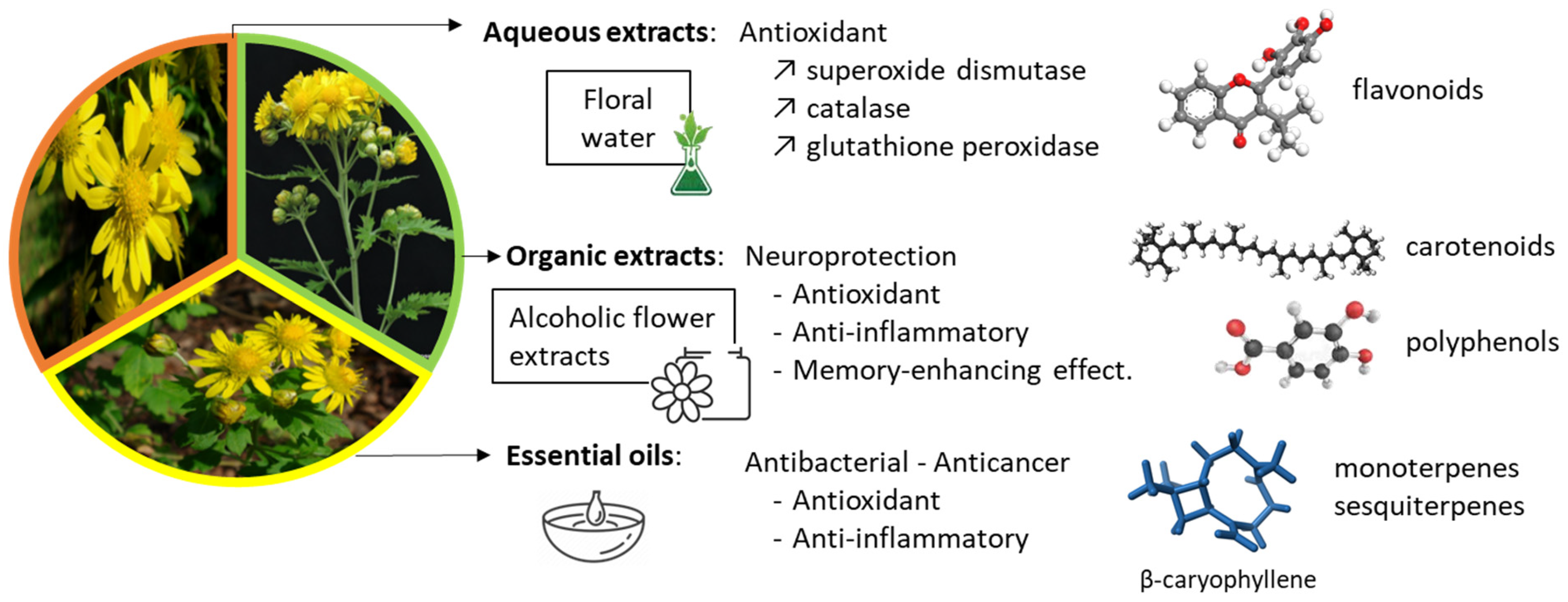Ijms 26 05956 g002 Ijms 26 05956 g002
