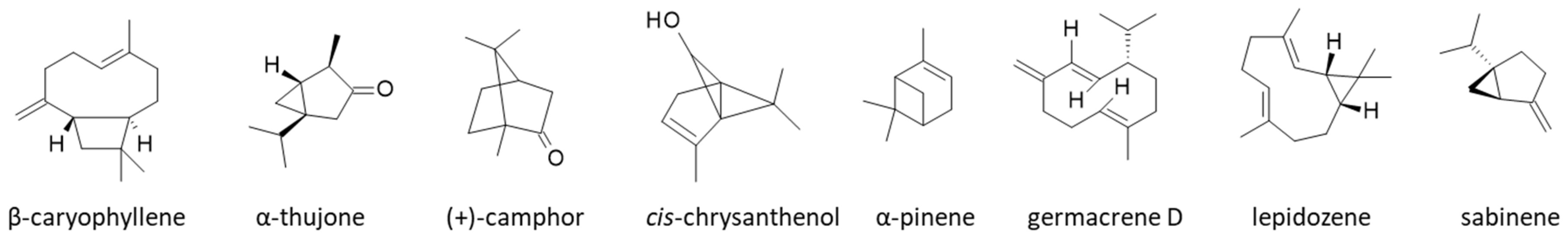 Ijms 26 05956 g003 Ijms 26 05956 g003