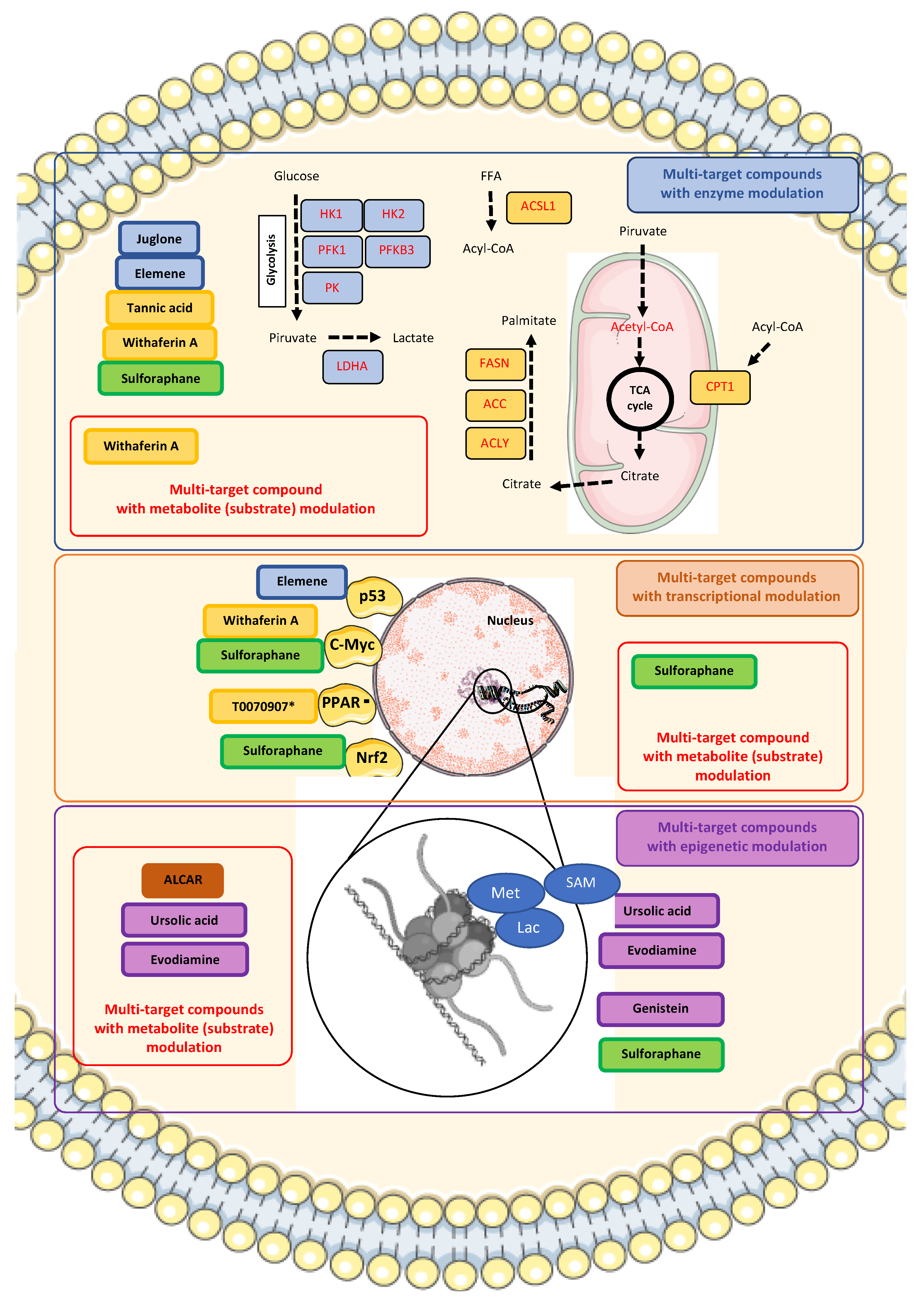 Ijms 26 06013 g003 Ijms 26 06013 g003
