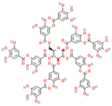 Ijms 26 06013 i006 Ijms 26 06013 i006