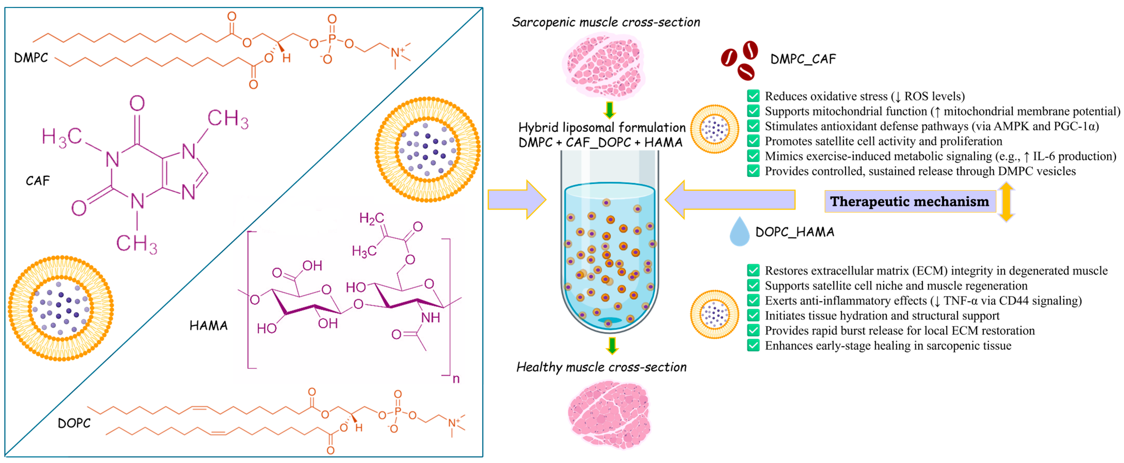 Ijms 26 06031 sch001