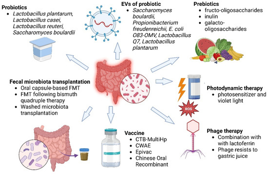 Towards Effective Helicobacter pylori Eradication: Emerging