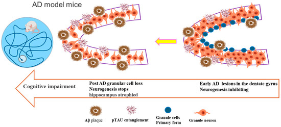 Hippocampal Neurogenesis in Alzheimer's Disease: Multimodal Therapeutics and the Neurogenic Impairment Index Framework Hippocampal Neurogenesis in Alzheimer's Disease: Multimodal Therapeutics and the Neurogenic Impairment Index Framework