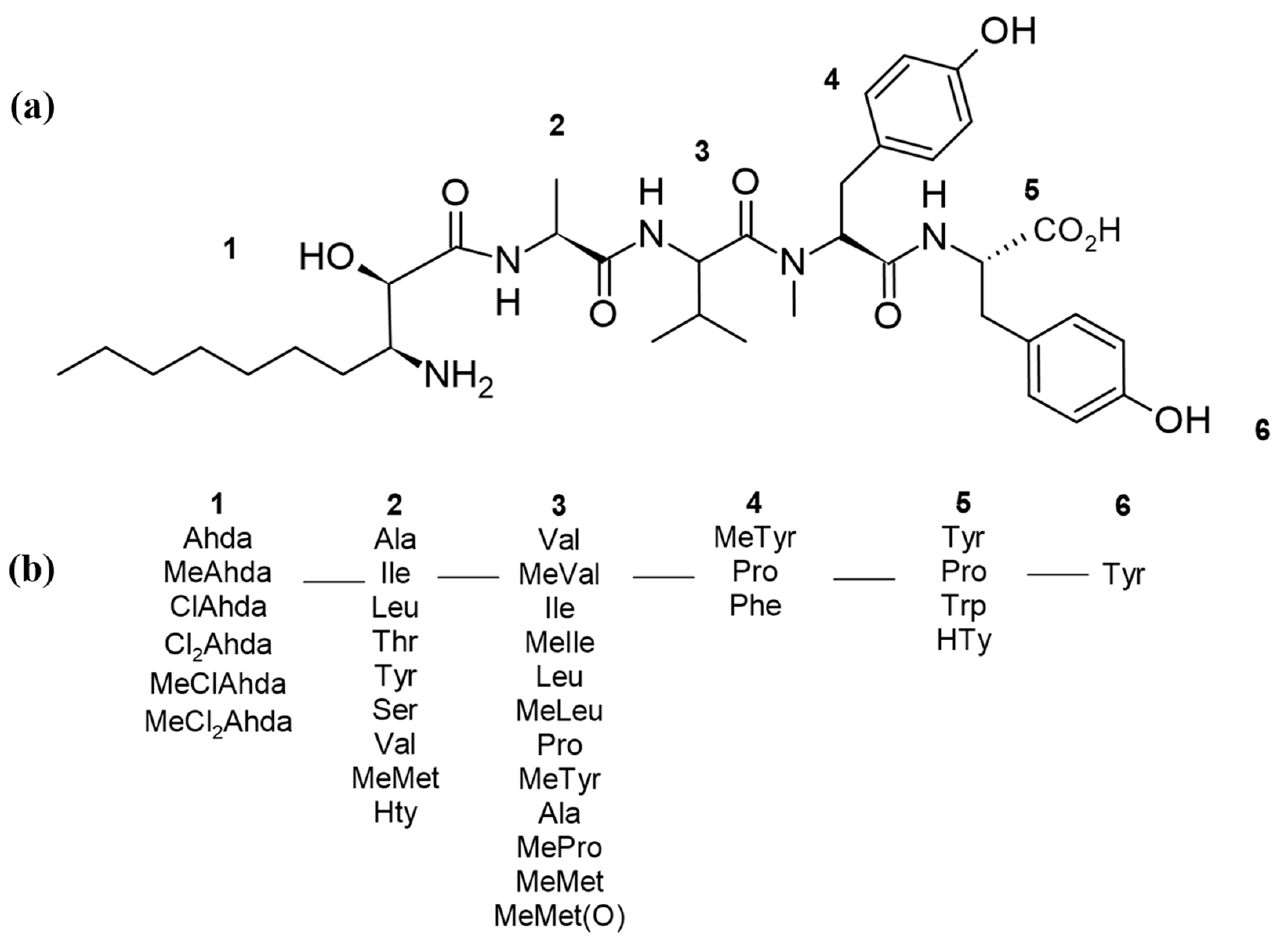 Ijms 26 06117 g001 Ijms 26 06117 g001