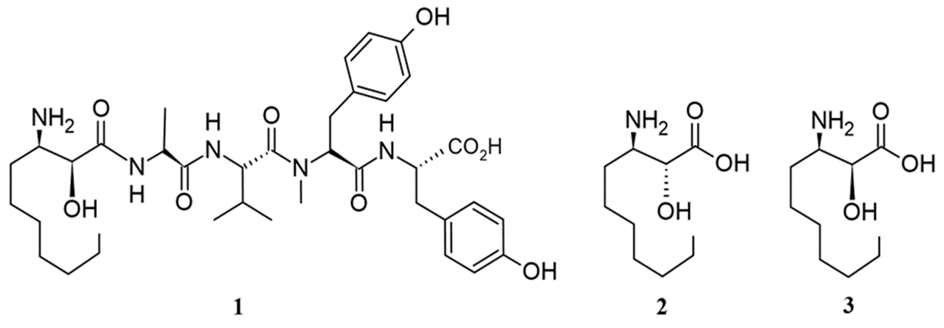 Ijms 26 06117 g002 Ijms 26 06117 g002