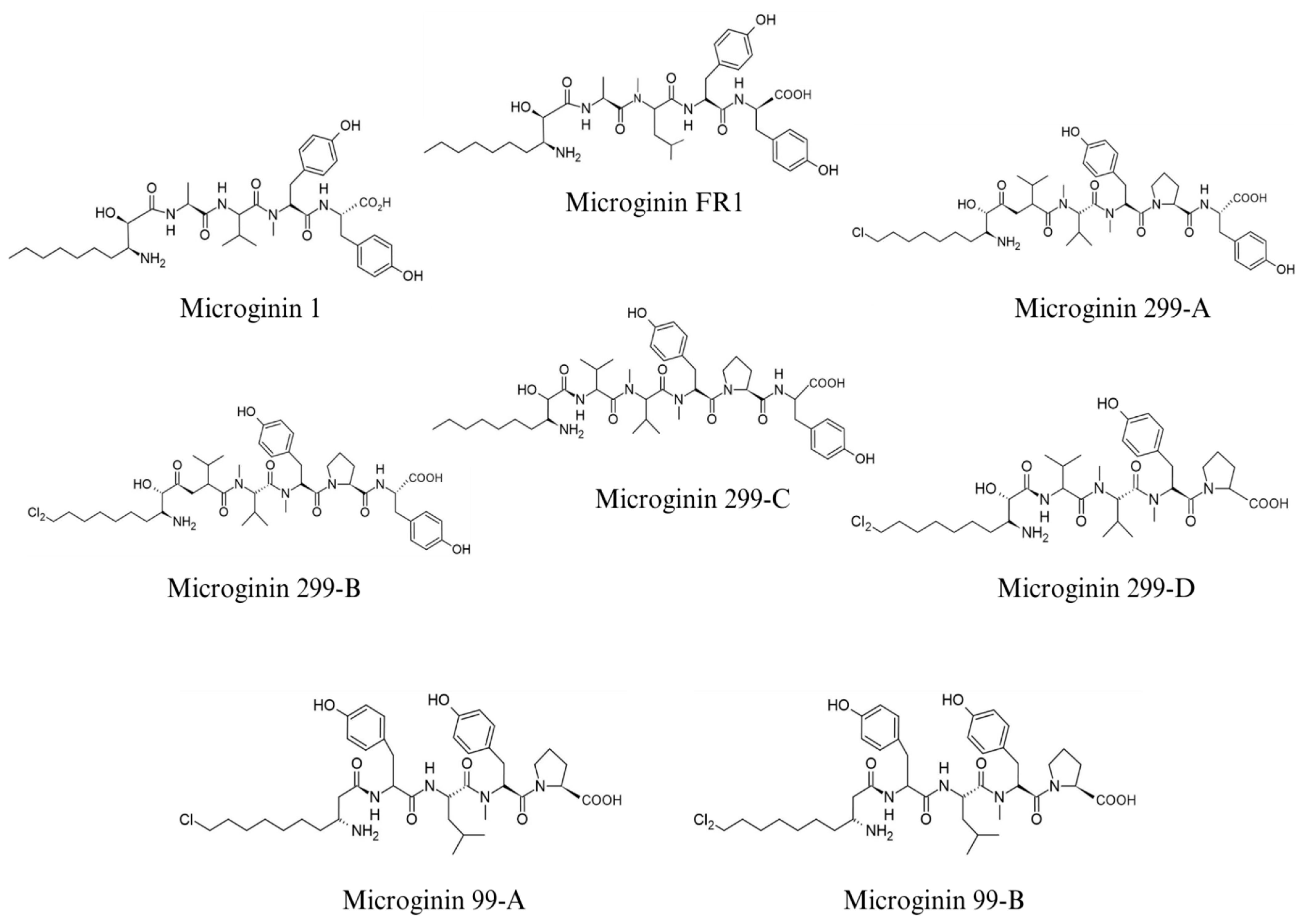 Ijms 26 06117 g003 Ijms 26 06117 g003