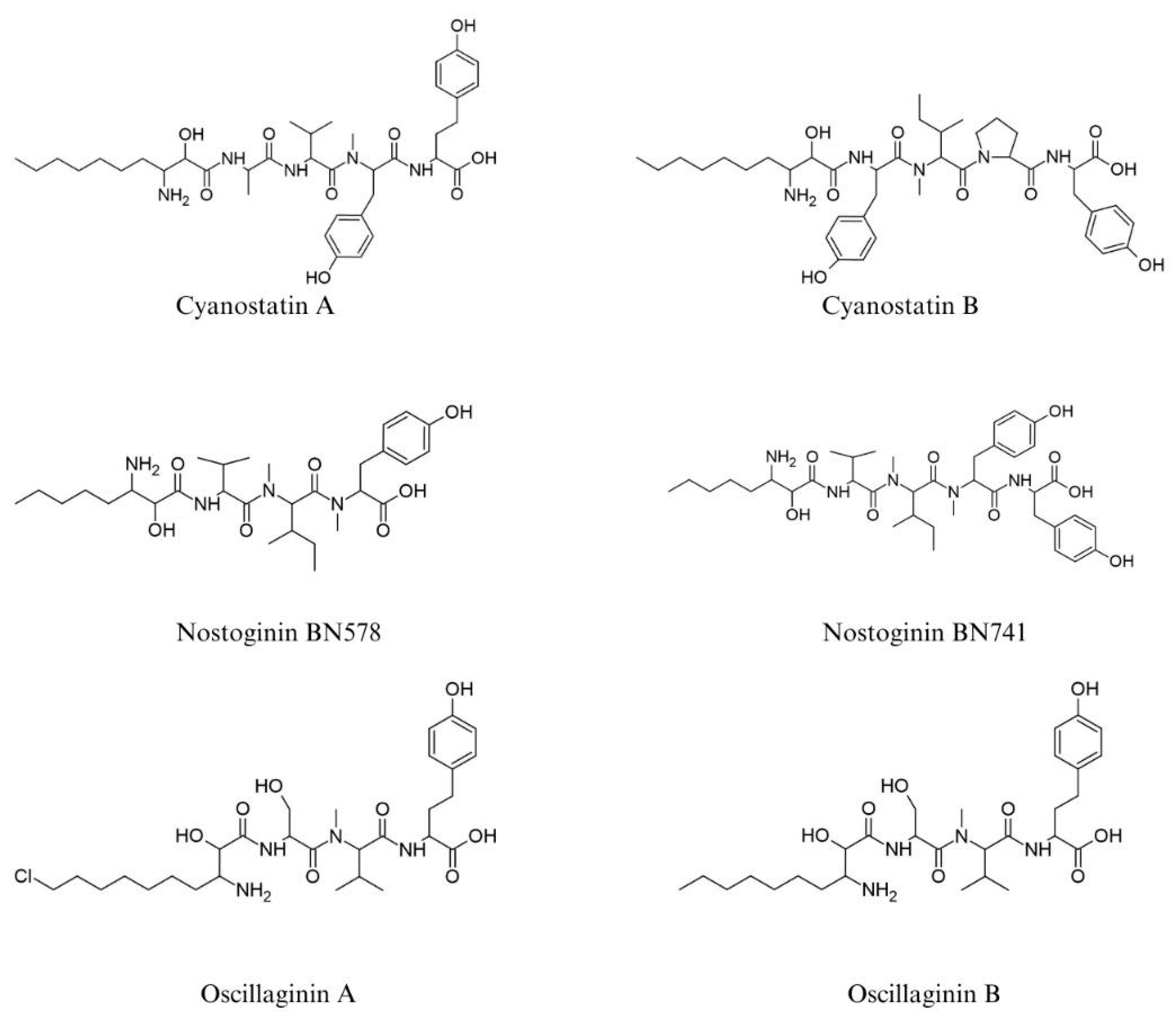 Ijms 26 06117 g004 Ijms 26 06117 g004