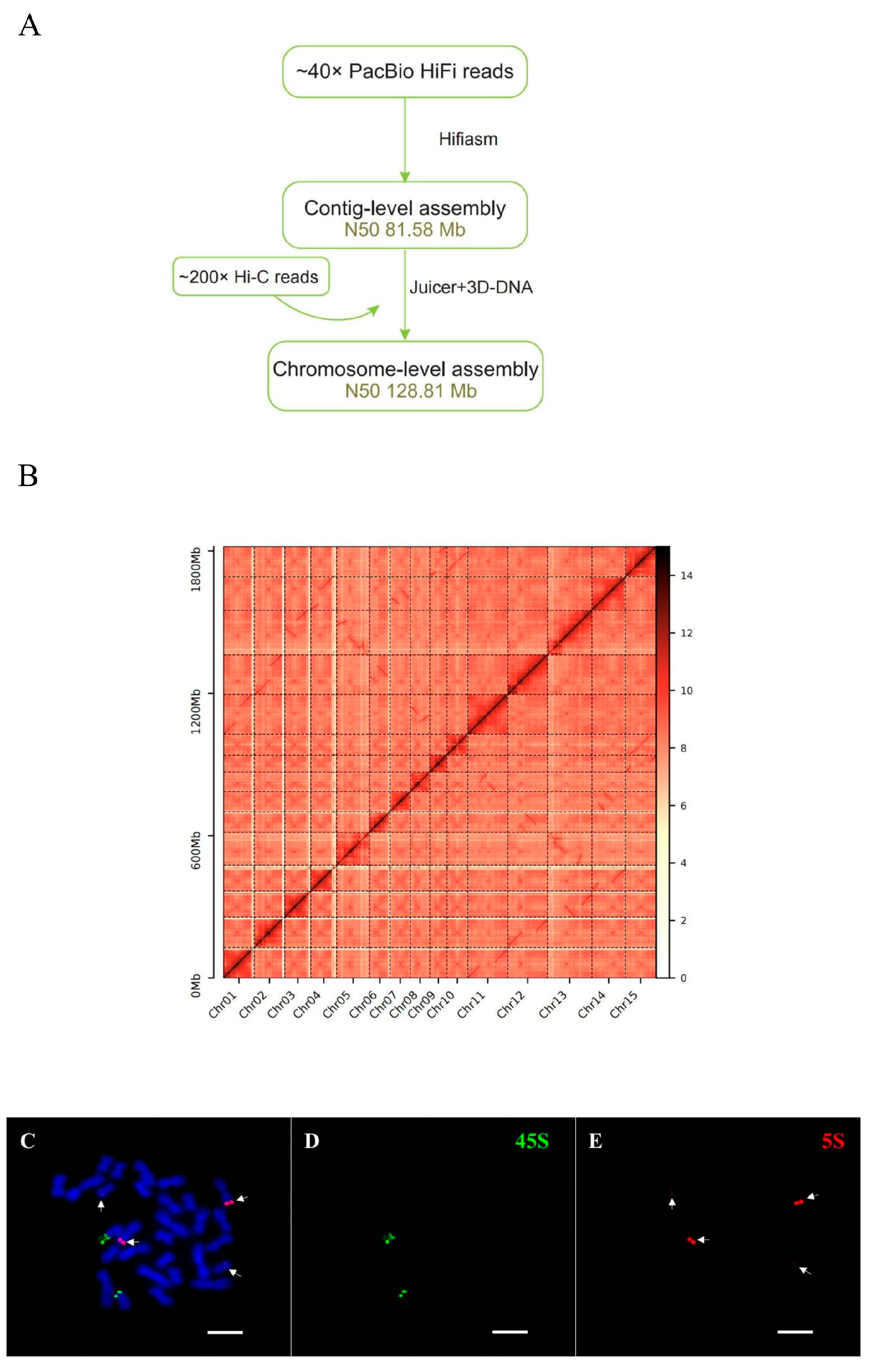 Ijms 26 06124 g001