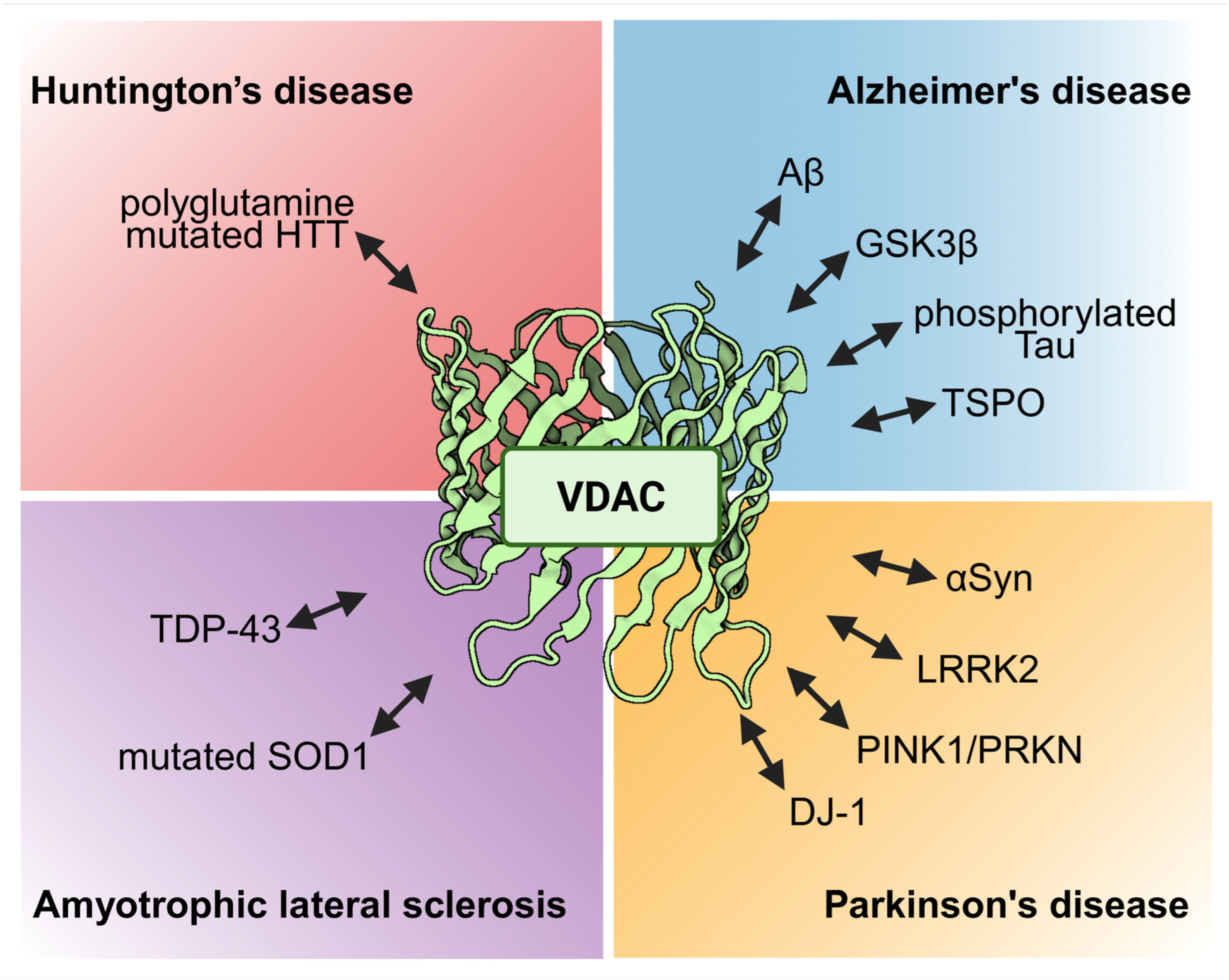 Ijms 26 06138 g005 Ijms 26 06138 g005