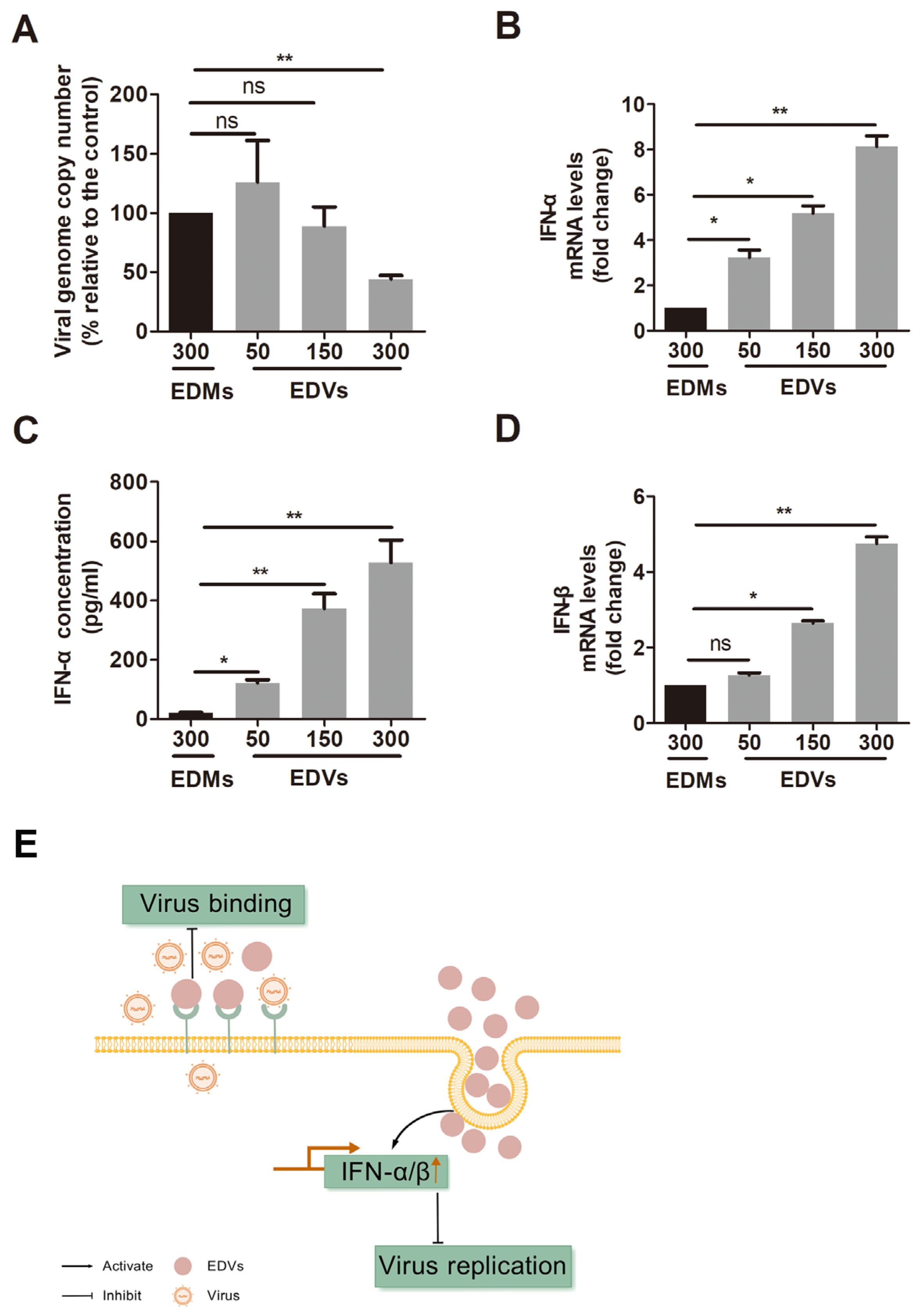 Ijms 26 06181 g003 Ijms 26 06181 g003