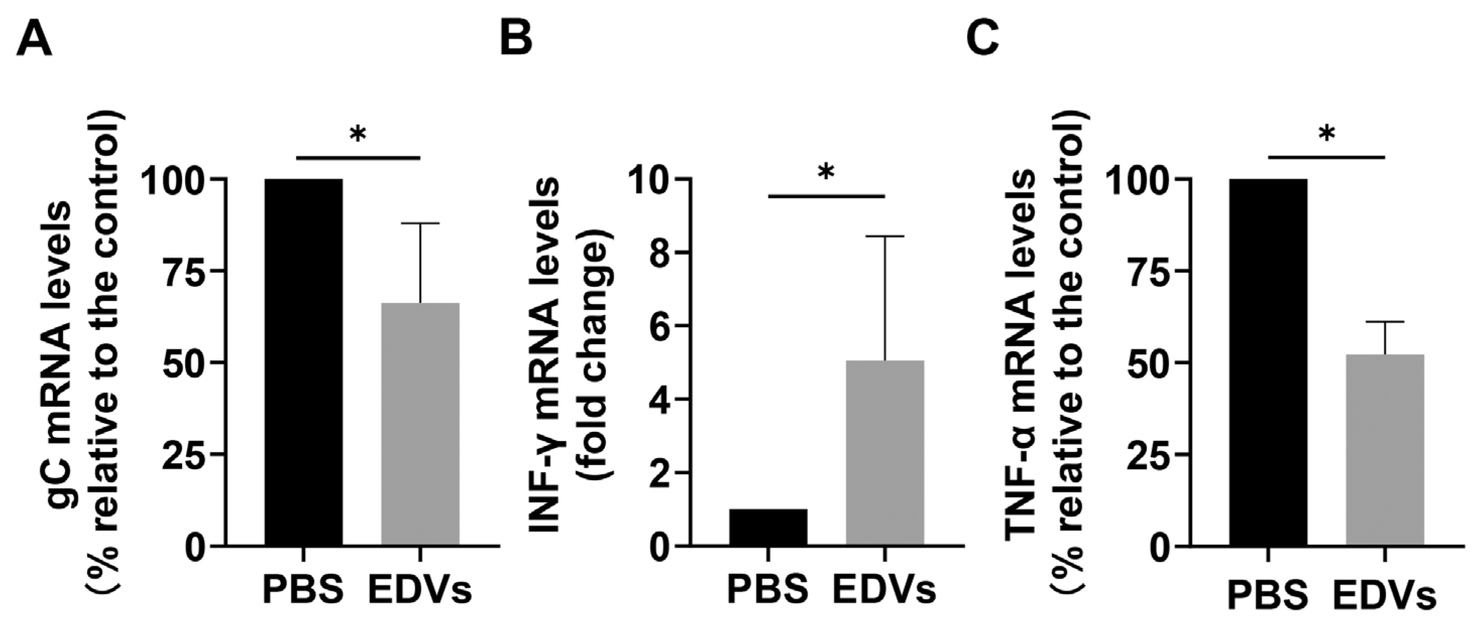 Ijms 26 06181 g005 Ijms 26 06181 g005