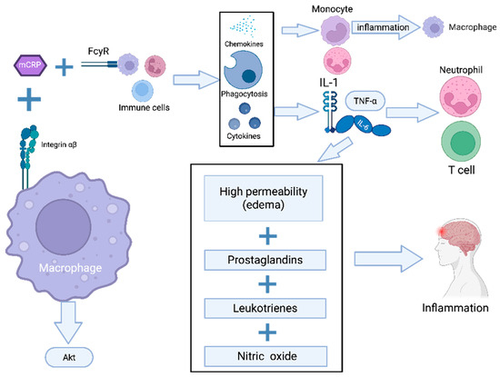 how to administer ipamorelin CJC-1295 + Ipamorelin