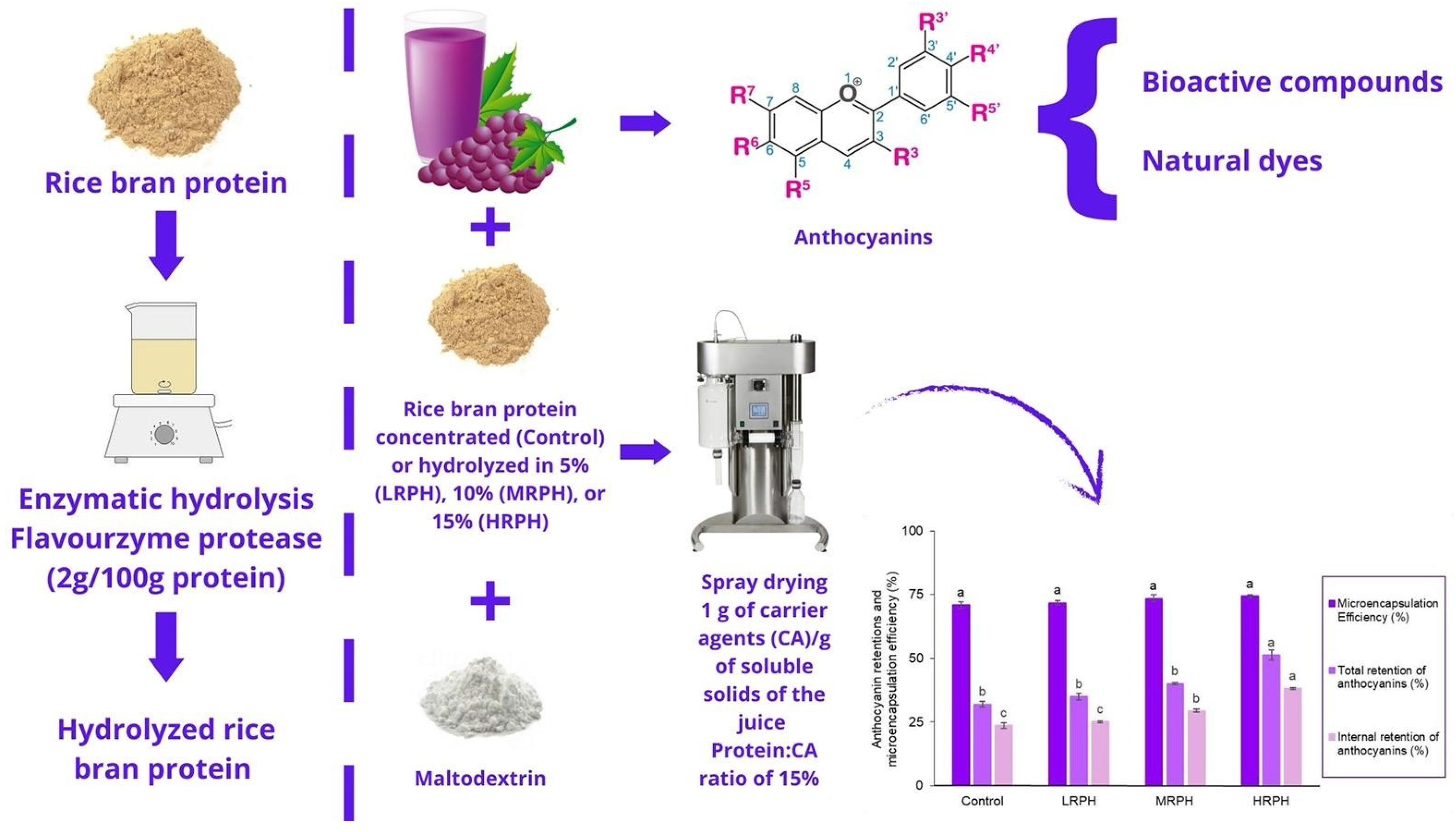 Ijms 26 06225 g002 Ijms 26 06225 g002