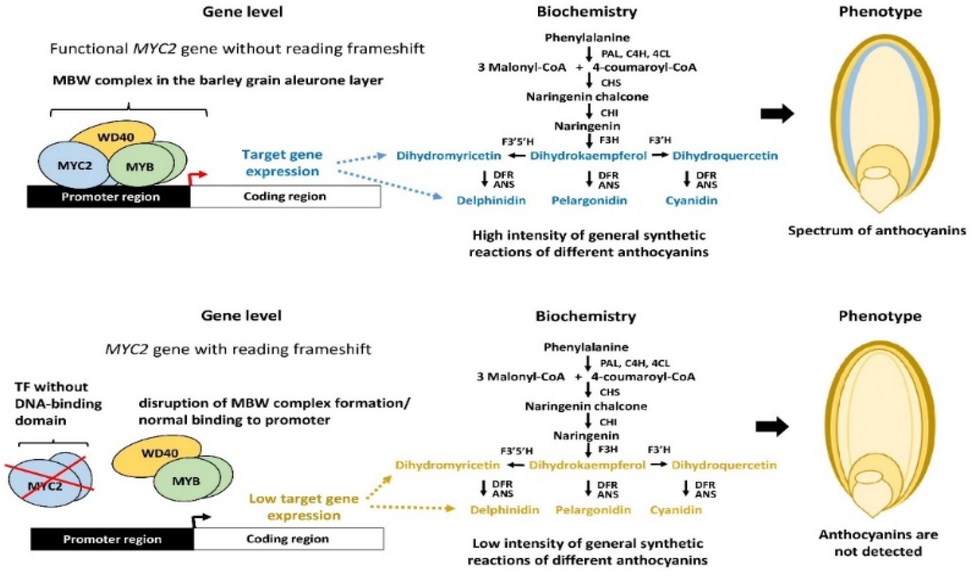 Ijms 26 06225 g003 Ijms 26 06225 g003