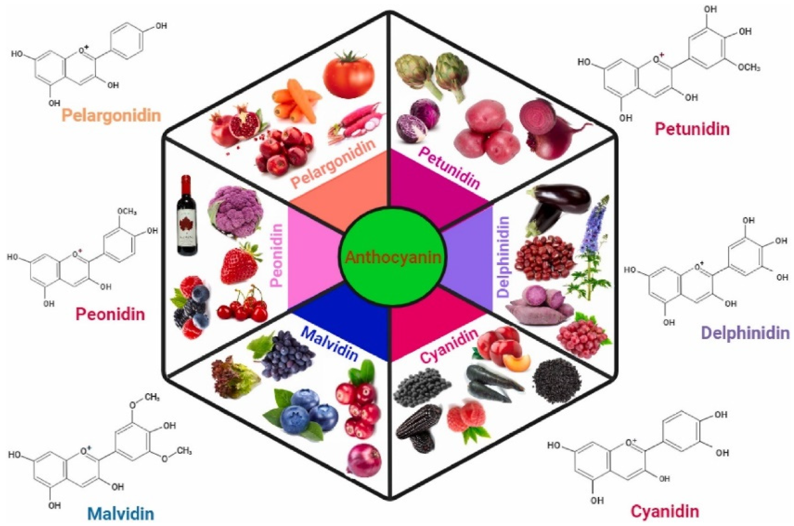 Ijms 26 06225 g005 Ijms 26 06225 g005