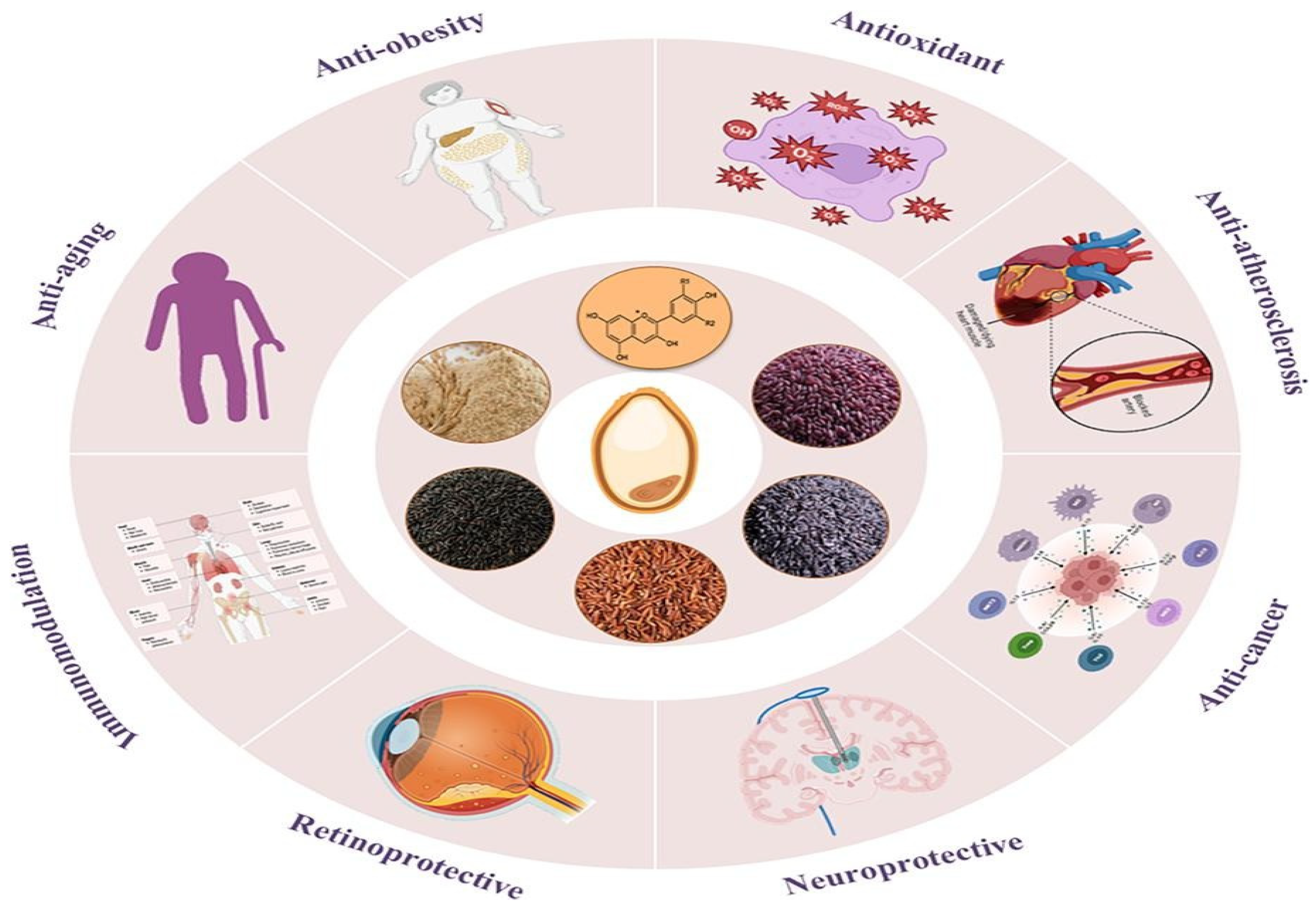 Ijms 26 06225 g007 Ijms 26 06225 g007