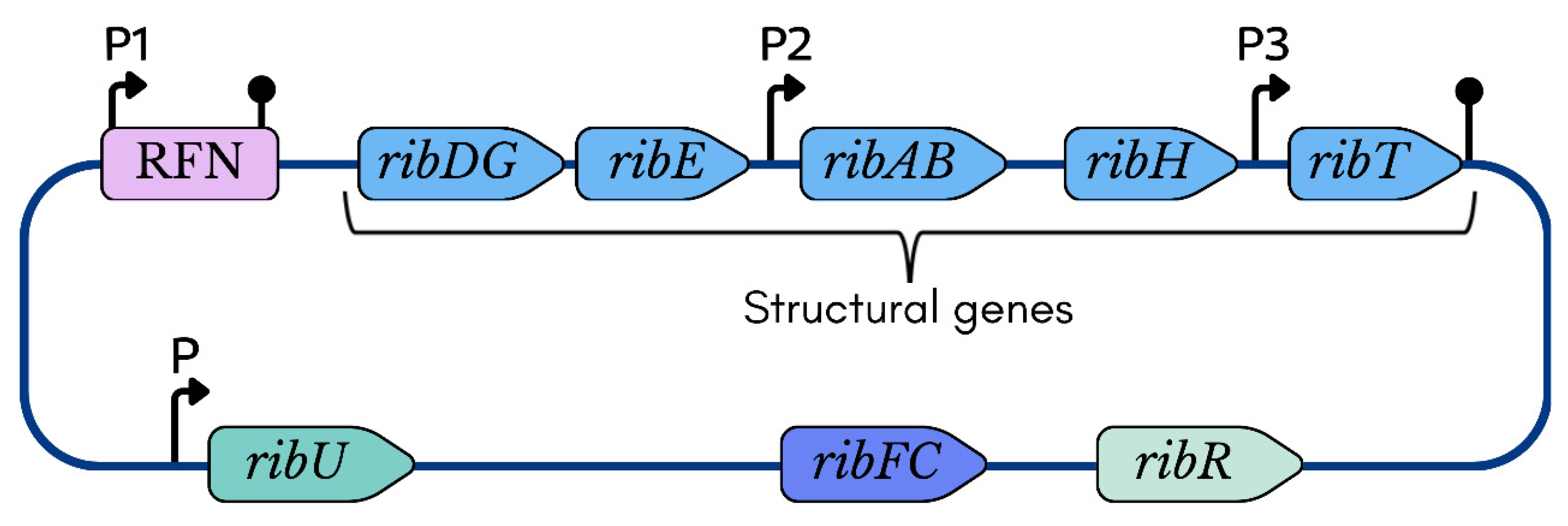 Ijms 26 06243 g003 Ijms 26 06243 g003