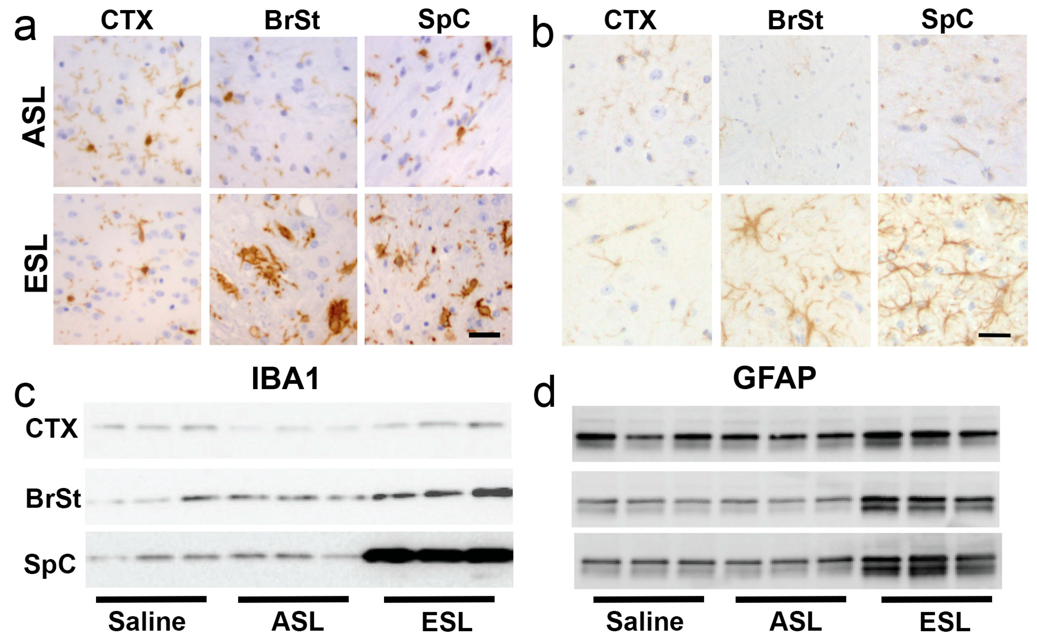 Ijms 26 06254 g003 Ijms 26 06254 g003