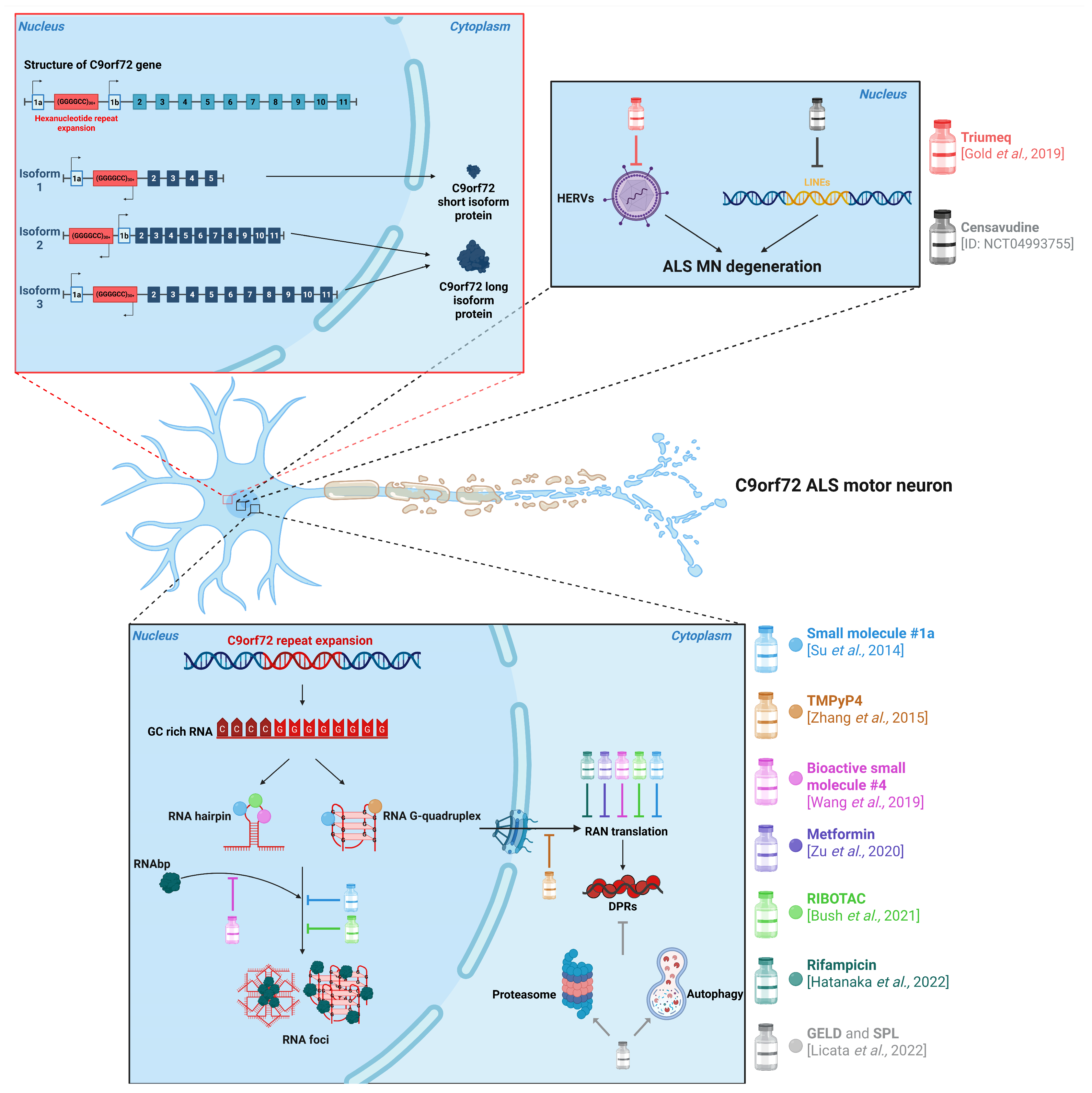 Therapeutic Approaches for C9ORF72-Related ALS: Current