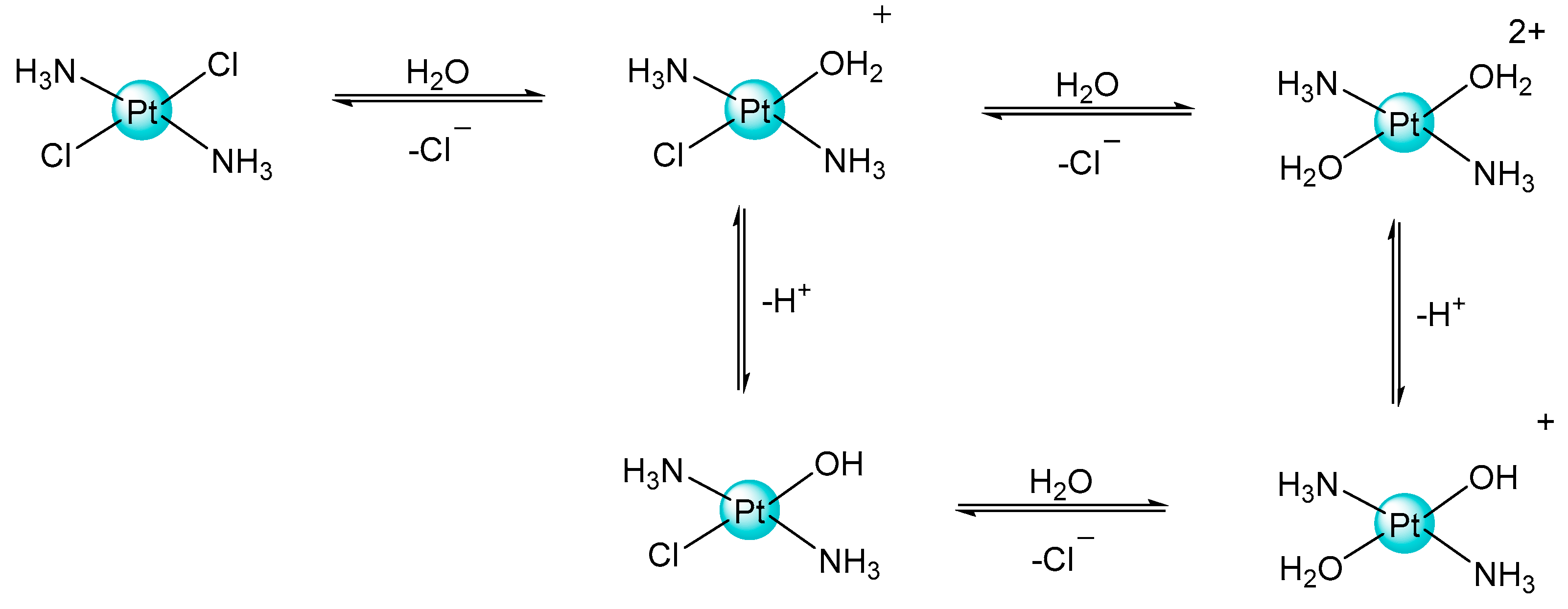 Ijms 26 06270 sch001