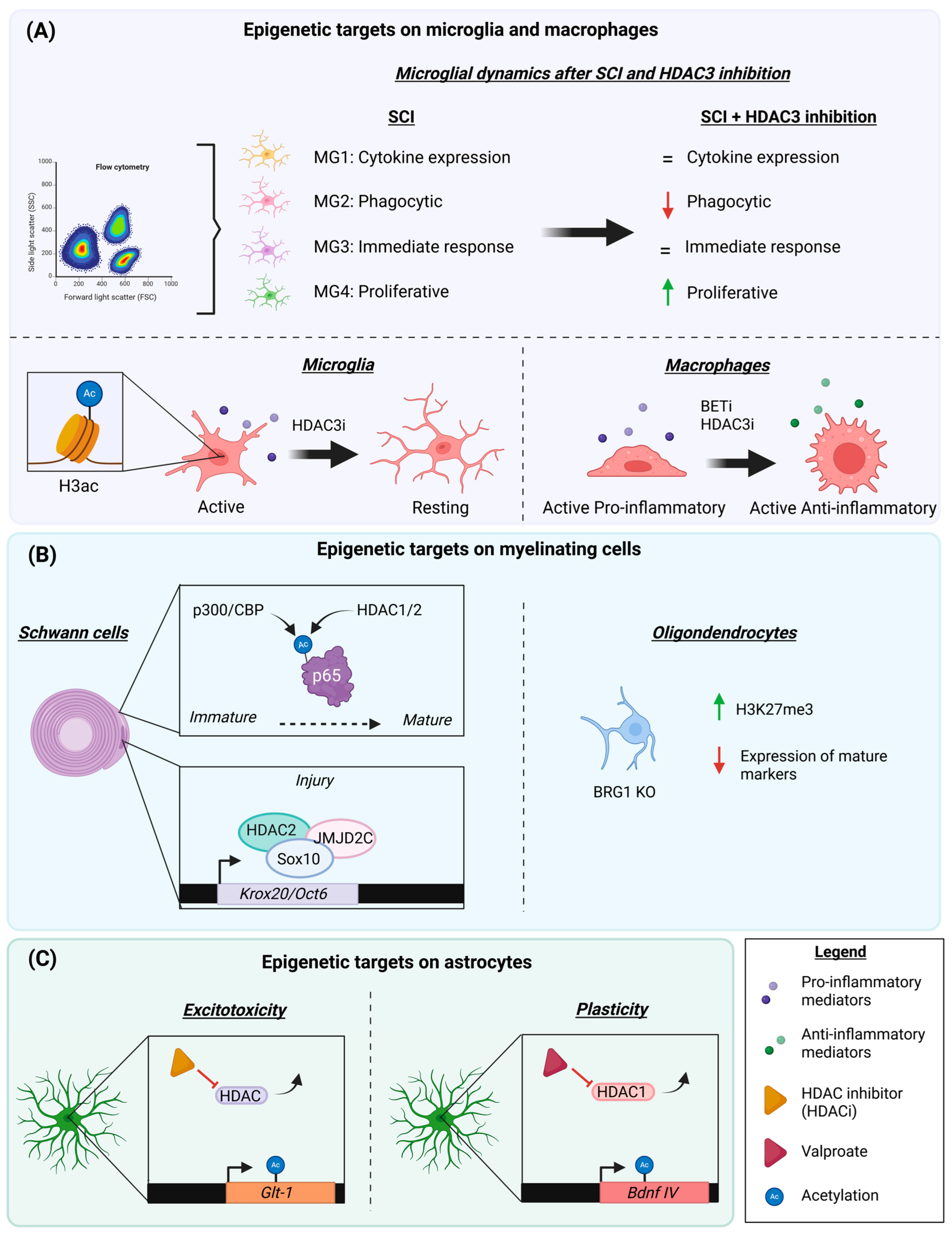 バランス Heterostructured polyamide membrane with dual-charge effects