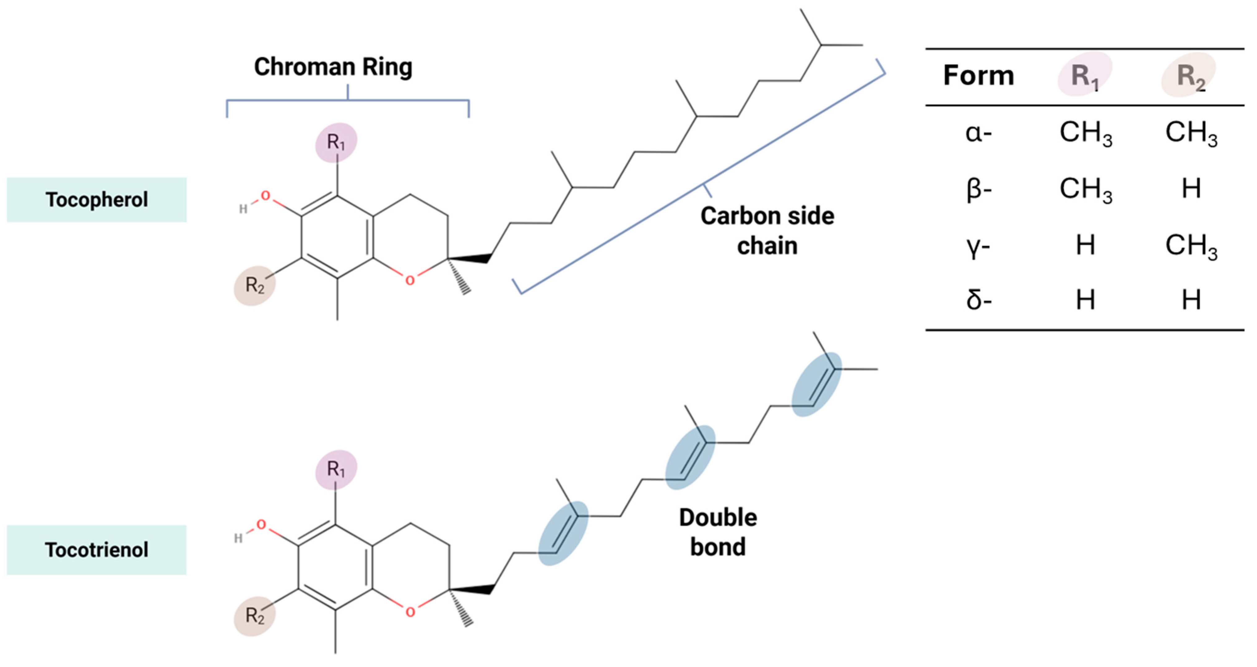 Shifting Perspectives on the Role of Tocotrienol vs