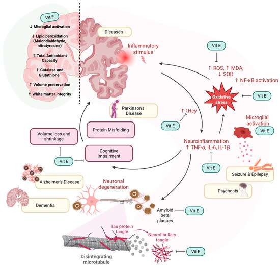Shifting Perspectives on the Role of Tocotrienol vs. Tocopherol in