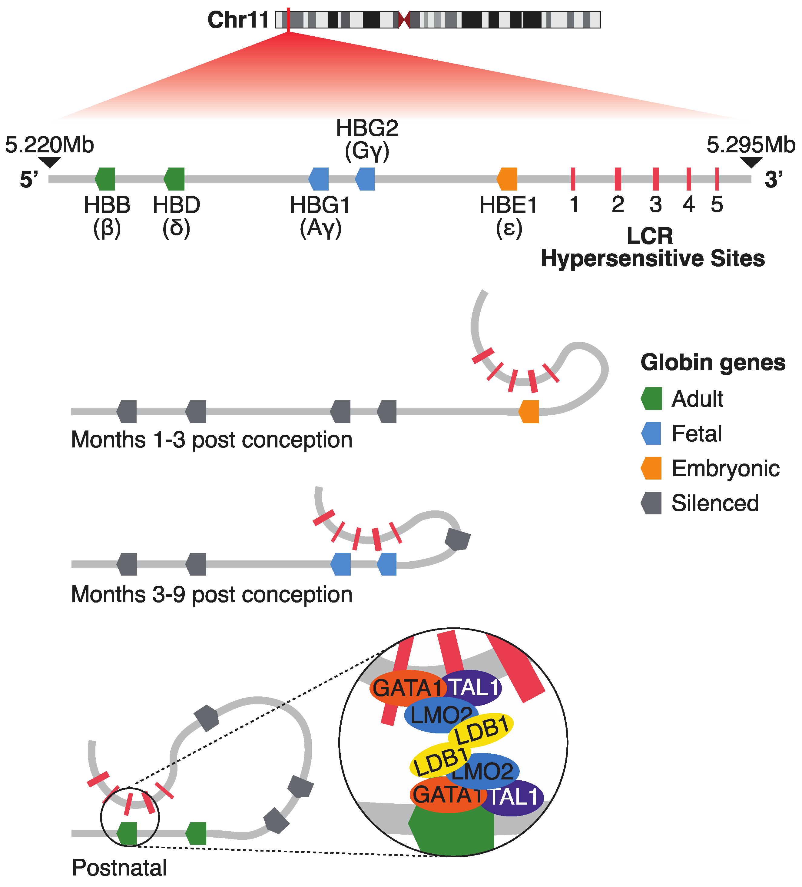 Ijms 26 06342 g001 Ijms 26 06342 g001