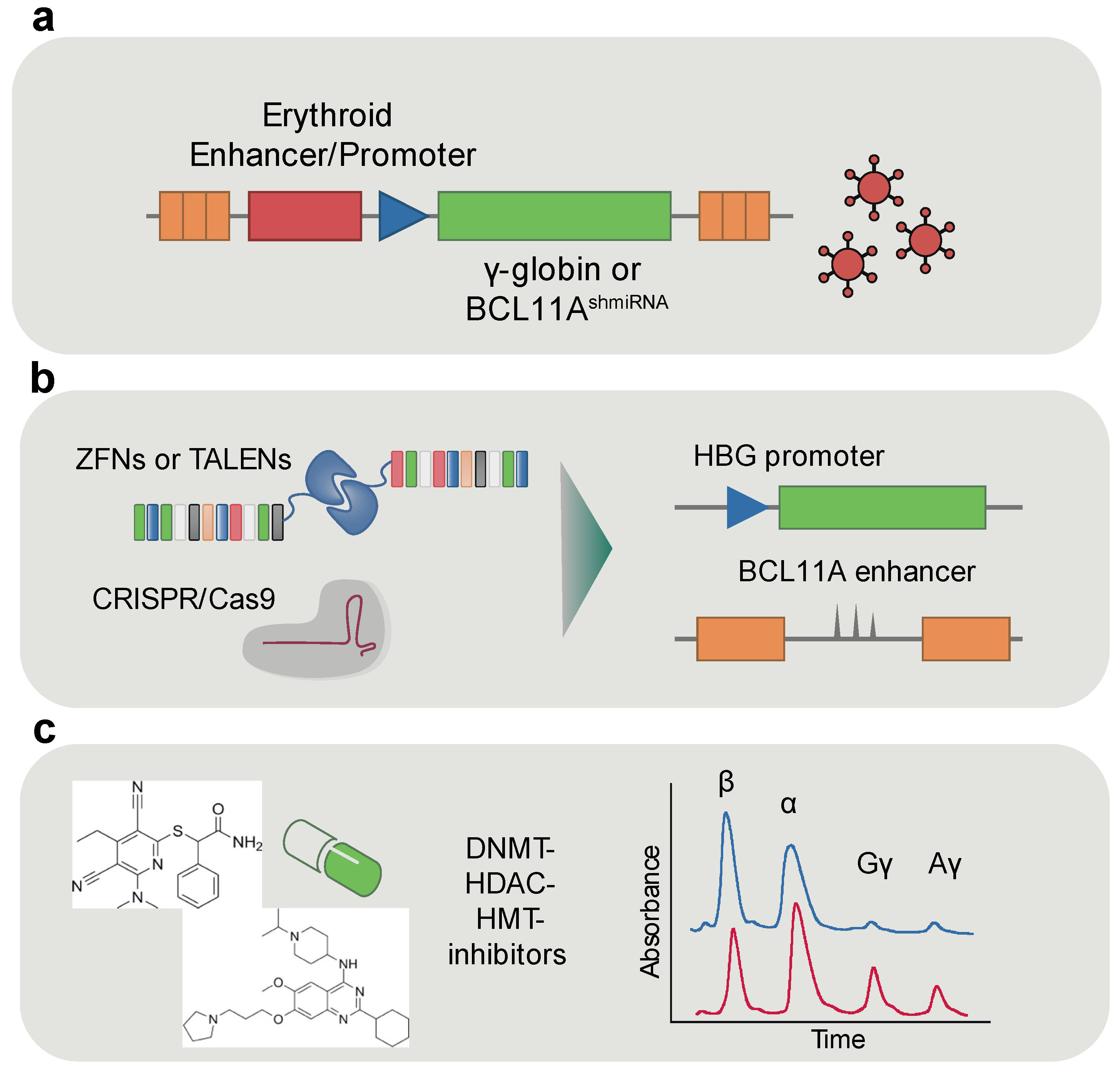Ijms 26 06342 g004 Ijms 26 06342 g004