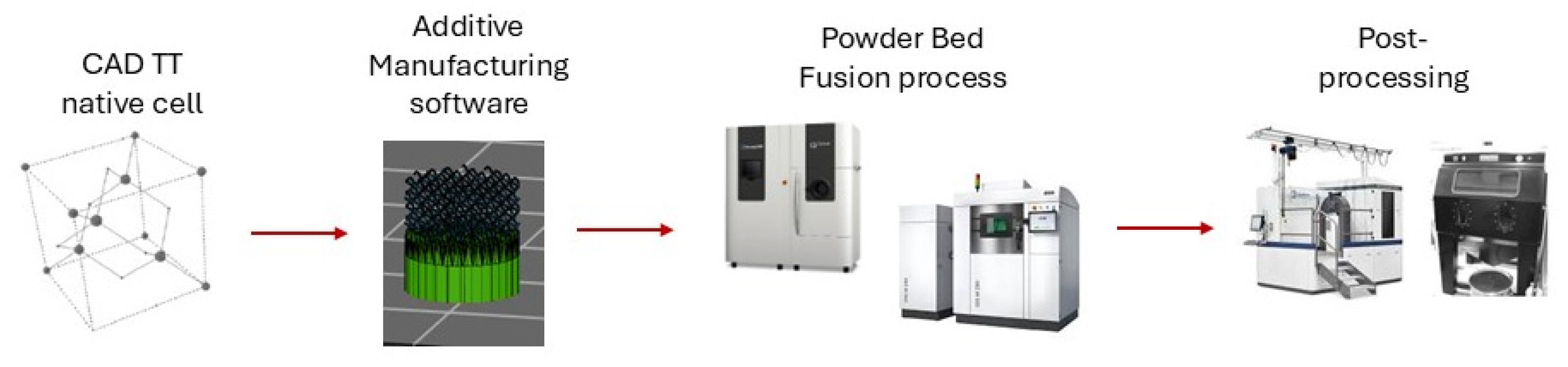 Ijms 26 06354 g001 Ijms 26 06354 g001