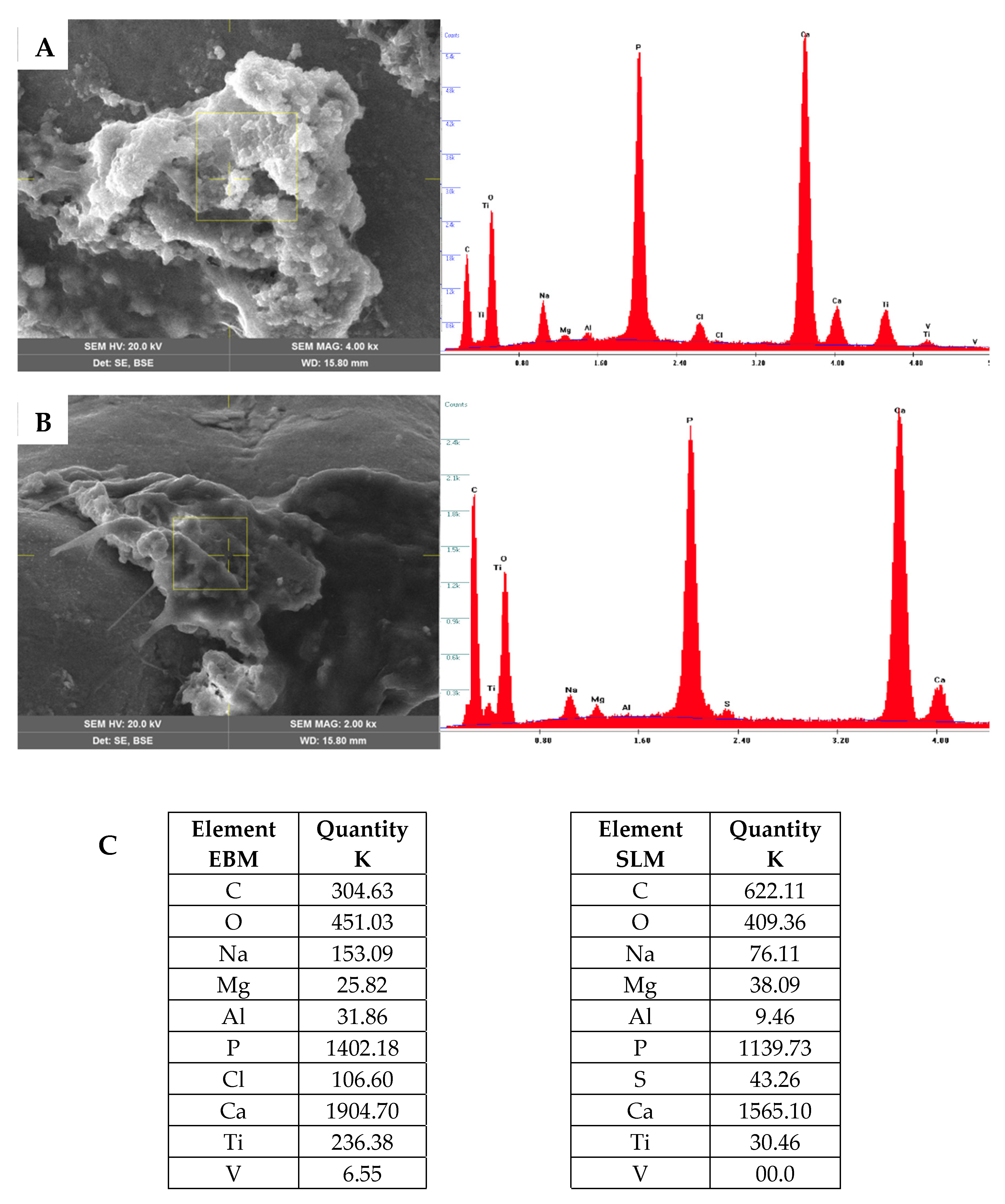 Ijms 26 06354 g010 Ijms 26 06354 g010