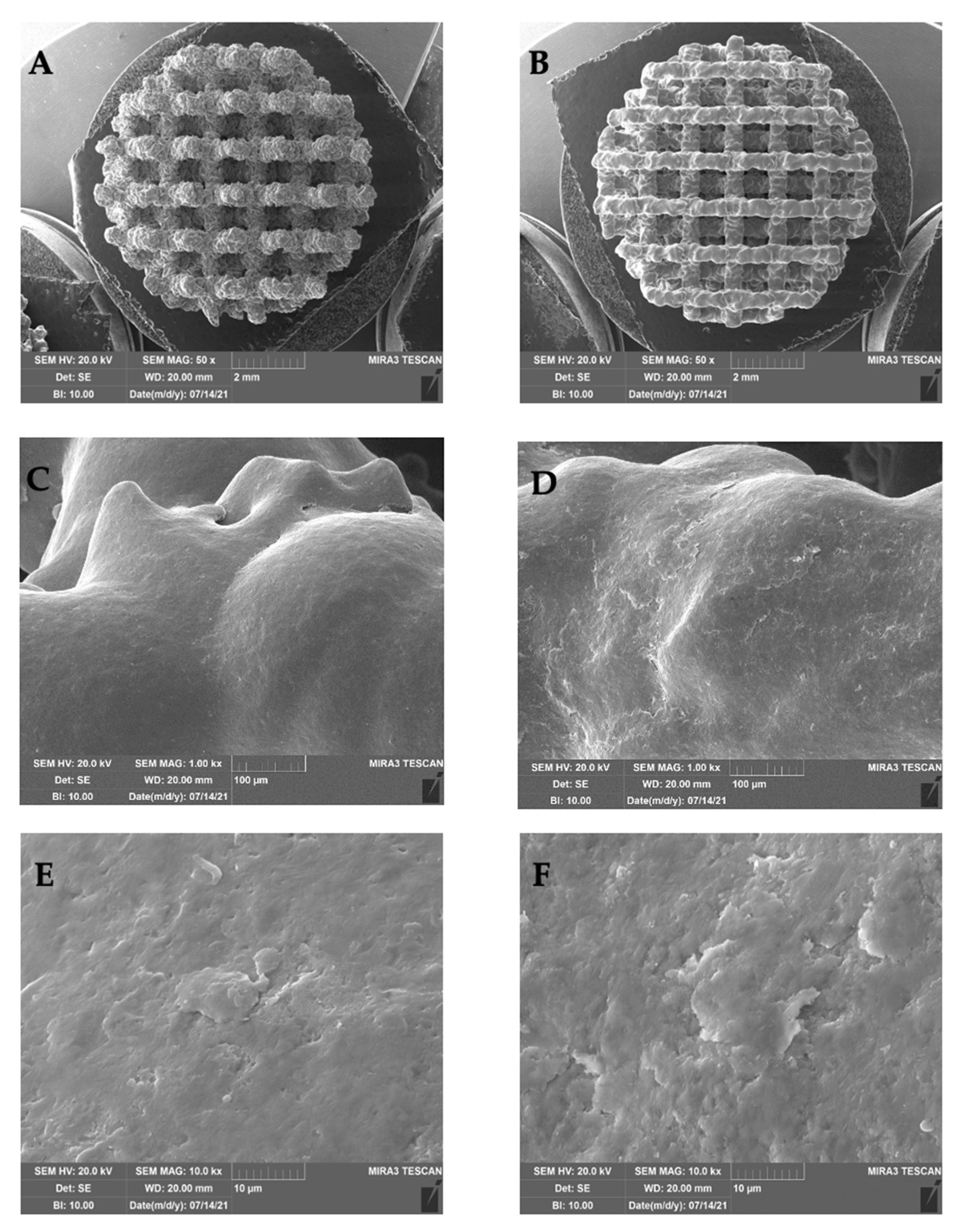 Ijms 26 06354 g011 Ijms 26 06354 g011