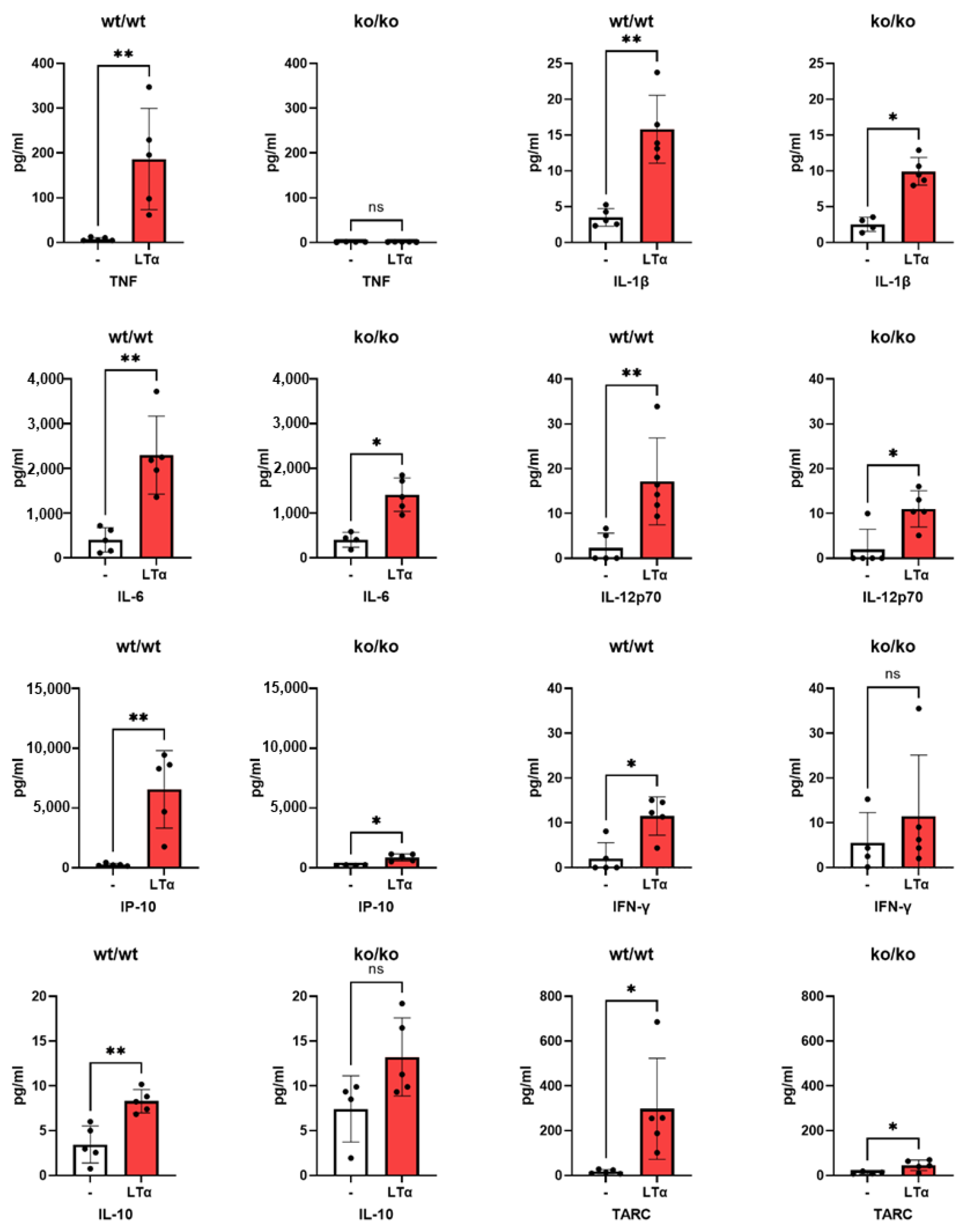 Ijms 26 06355 g002 Ijms 26 06355 g002