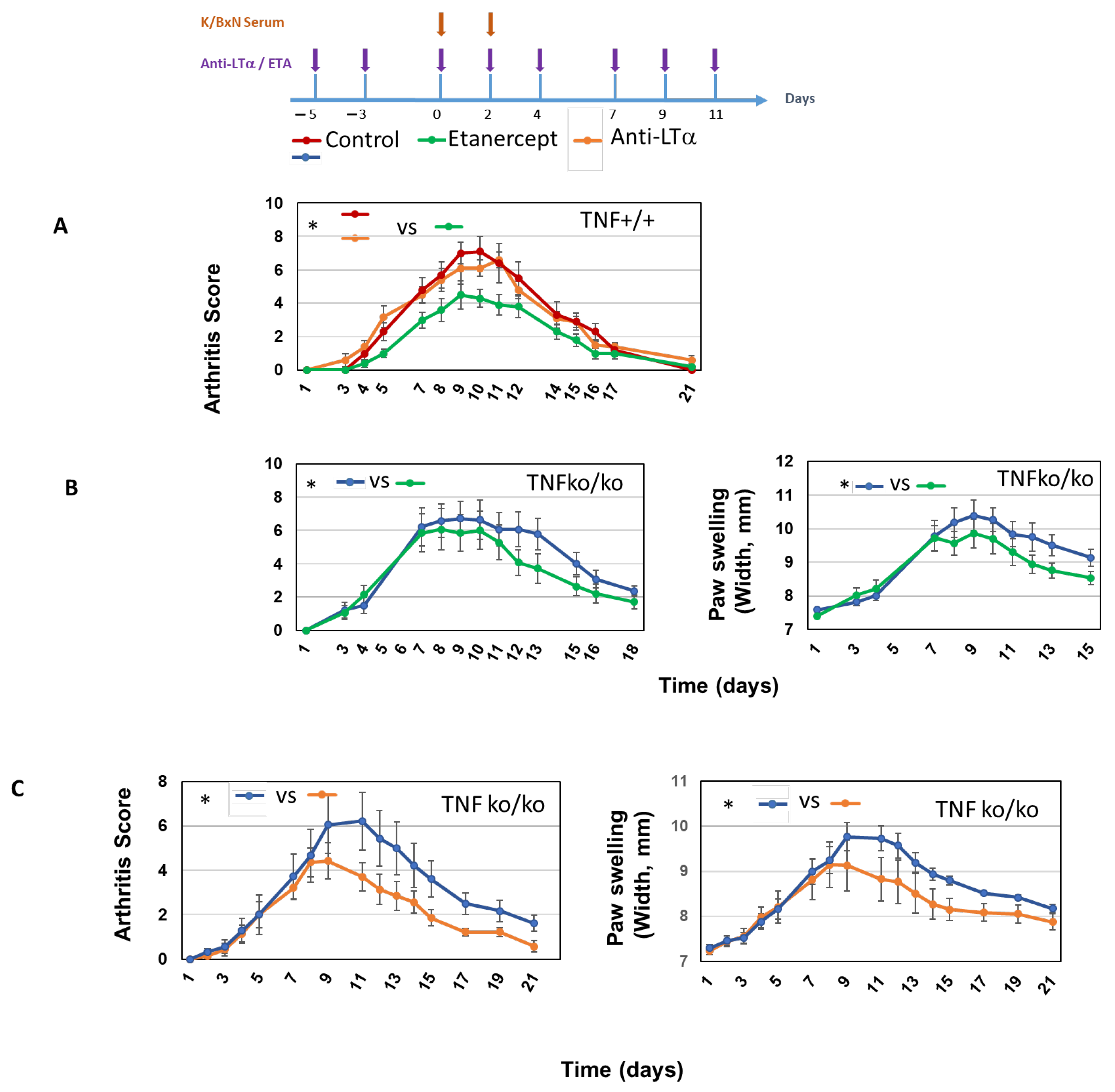 Ijms 26 06355 g003 Ijms 26 06355 g003