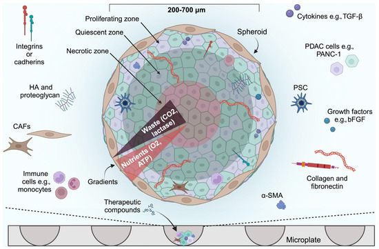 39×50. N-terminus-modified Hec1 suppresses tumour growth by