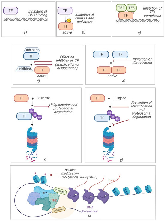 メンテナンス OK plan Role of Granulosa Cell Dysfunction in Women Infertility Associated
