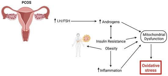 The Role of Mitochondrial Dysfunction and Oxidative Stress in Women's Reproductive Disorders: Implications for Polycystic Ovary Syndrome and Preeclampsia The Role of Mitochondrial Dysfunction and Oxidative Stress in Women's Reproductive Disorders: Implications for Polycystic Ovary Syndrome and Preeclampsia