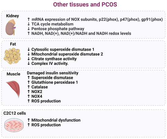 pcos and glutathione Frontiers main image 0