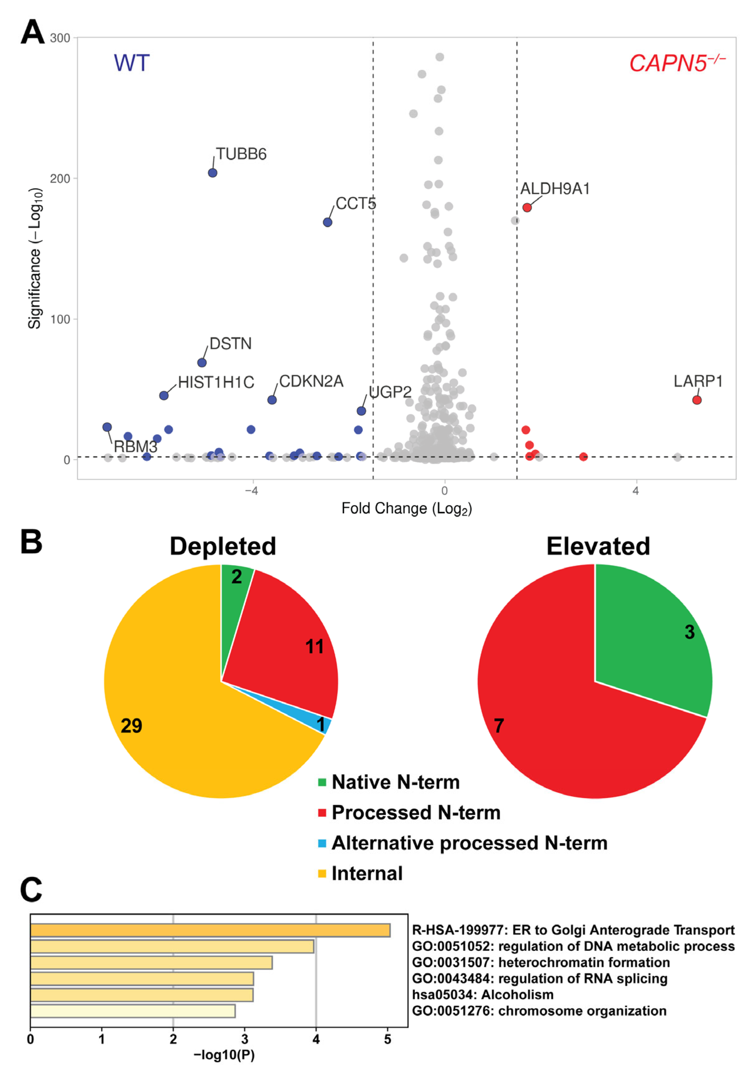 Ijms 26 06459 g002 Ijms 26 06459 g002