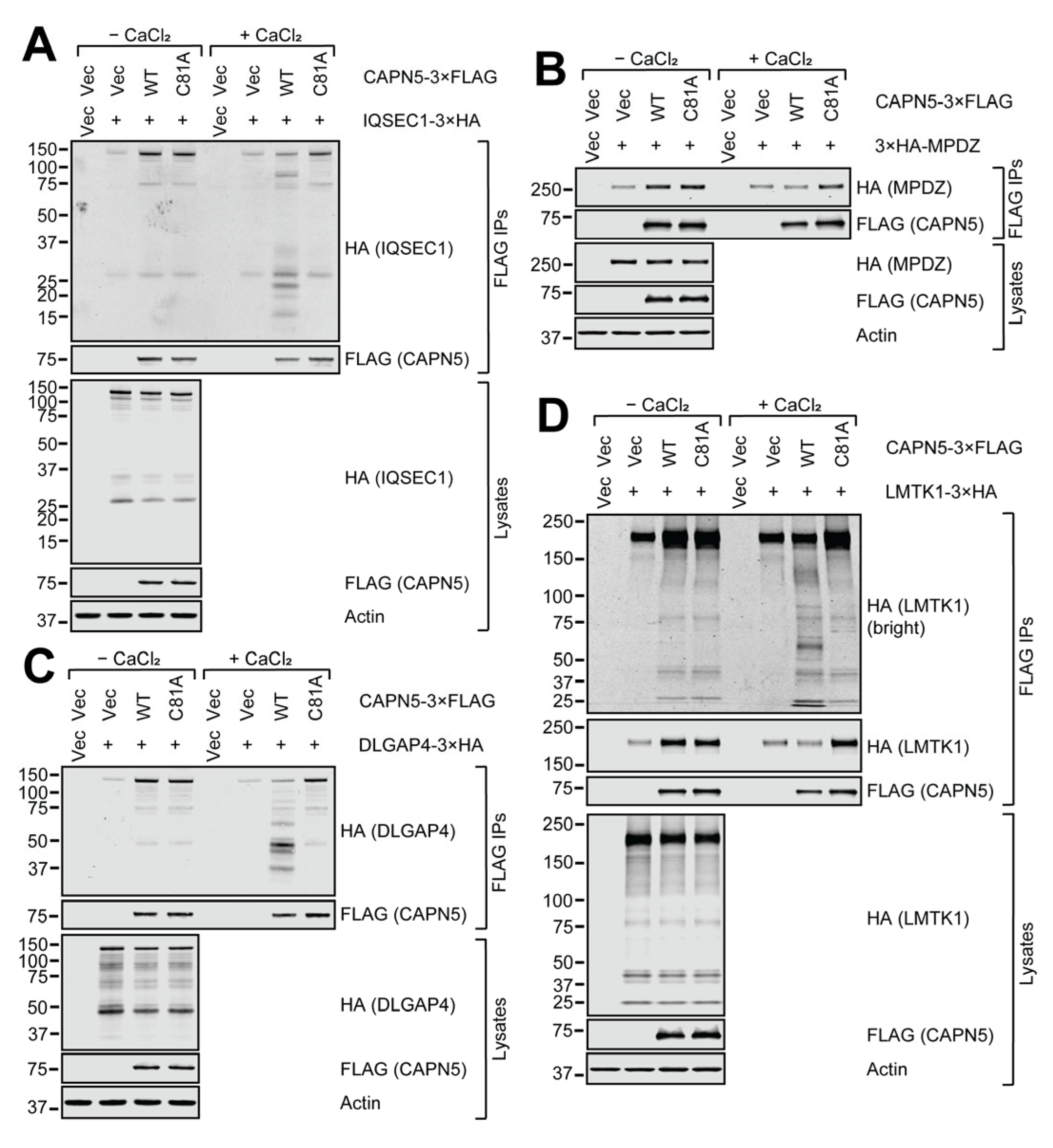 Ijms 26 06459 g004 Ijms 26 06459 g004
