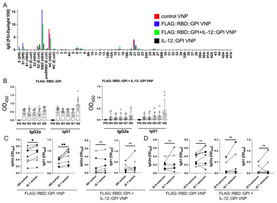 Moloney Murine Leukemia Virus-like Nanoparticles Pseudo-Typed with