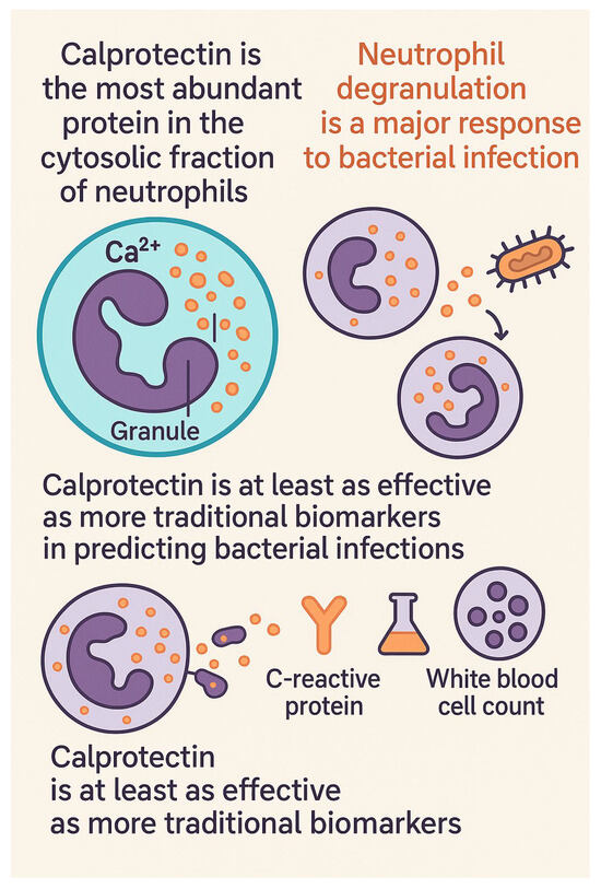 Calprotectin as a Biomarker for Infectious Diseases: A Comparative ...