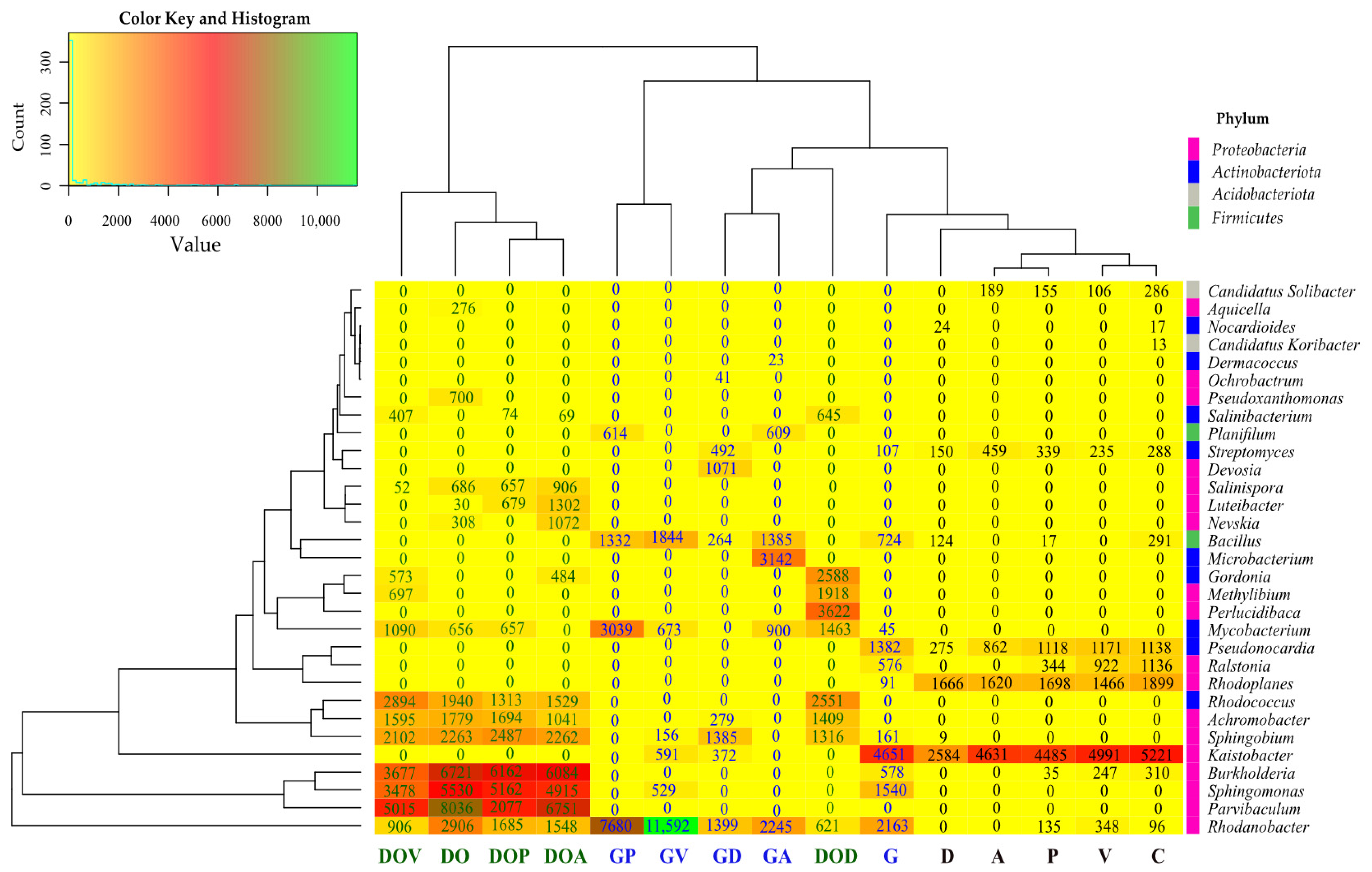 Ijms 26 06491 g003 Ijms 26 06491 g003
