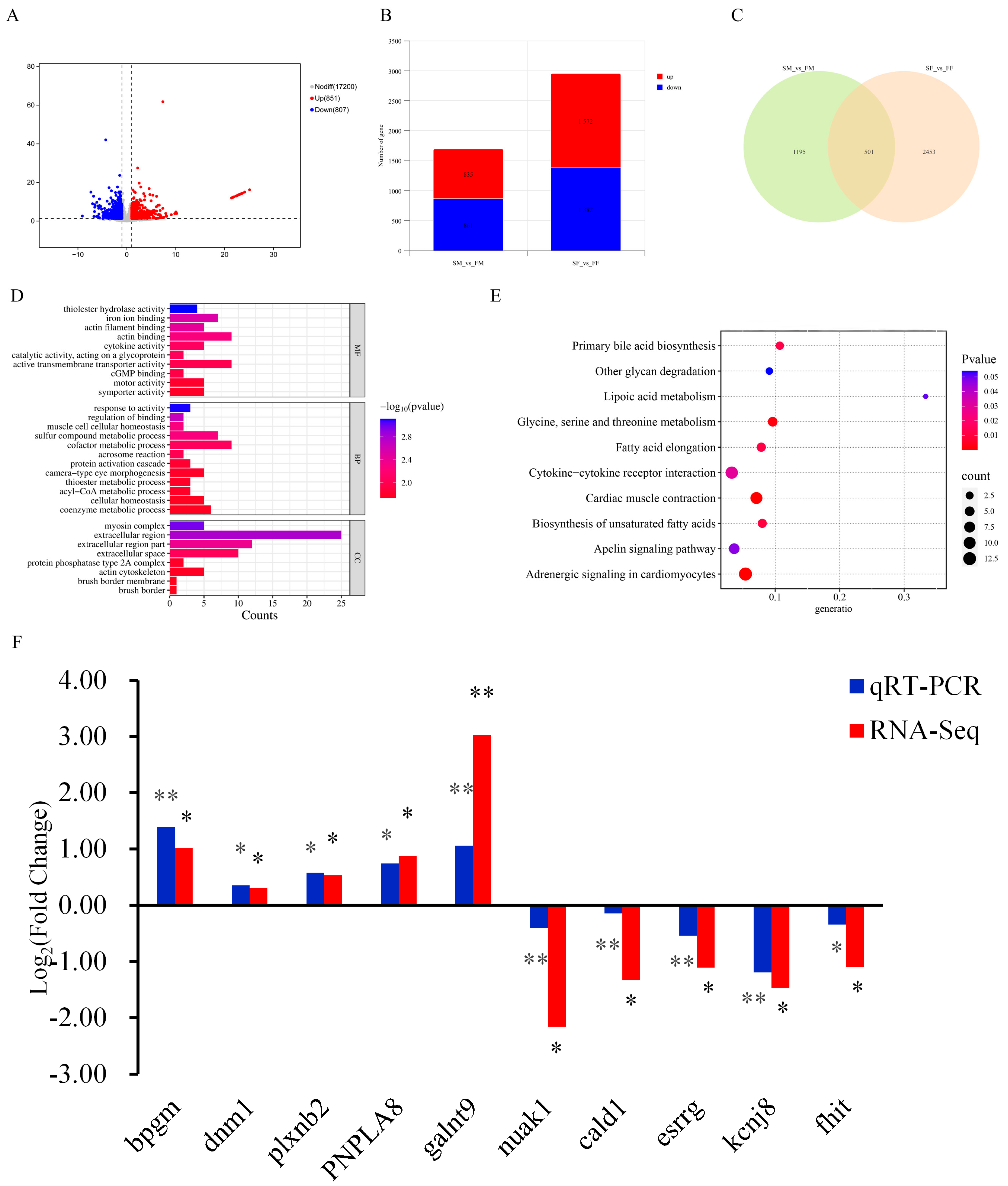 Ijms 26 06492 g006 Ijms 26 06492 g006