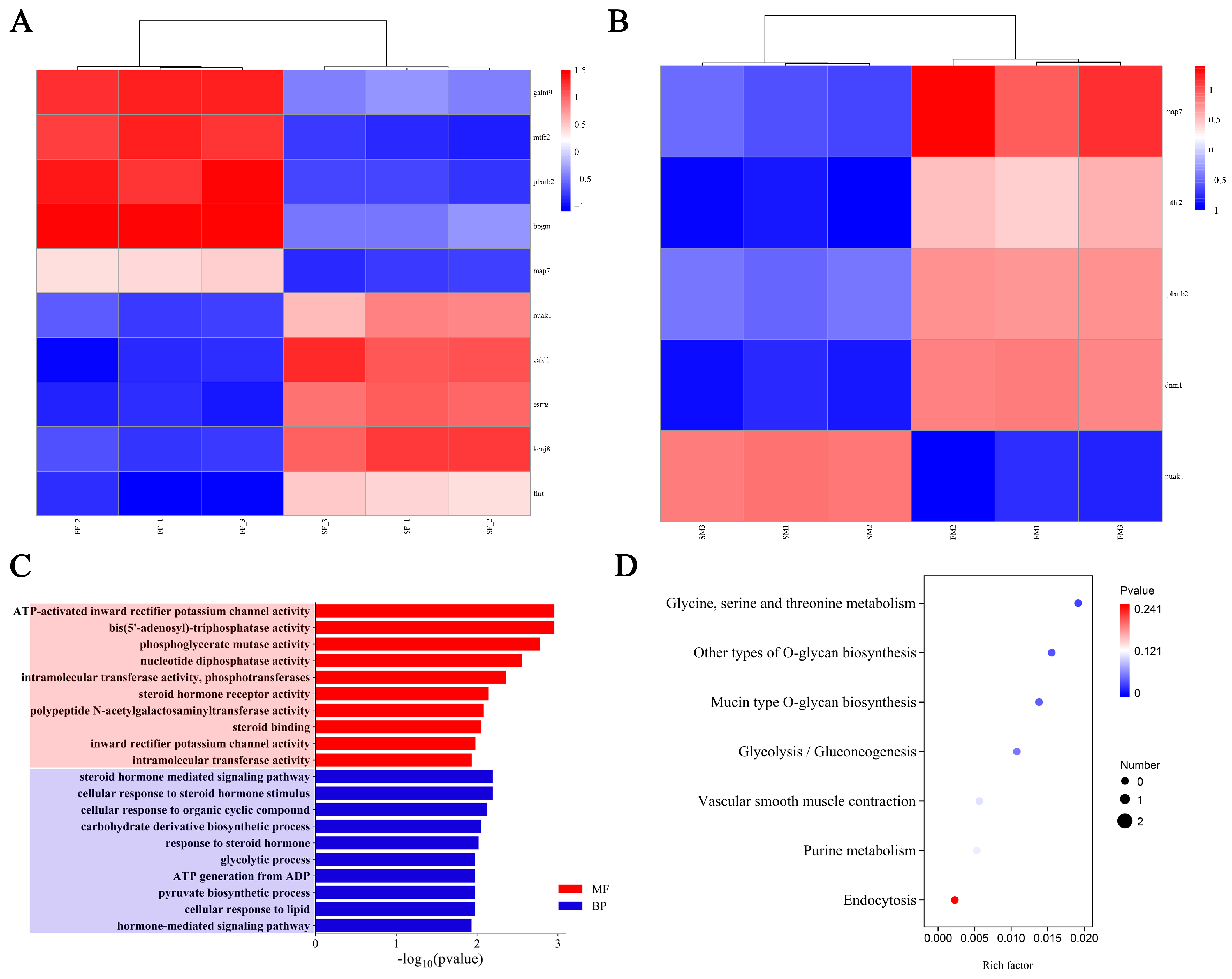 Ijms 26 06492 g007 Ijms 26 06492 g007