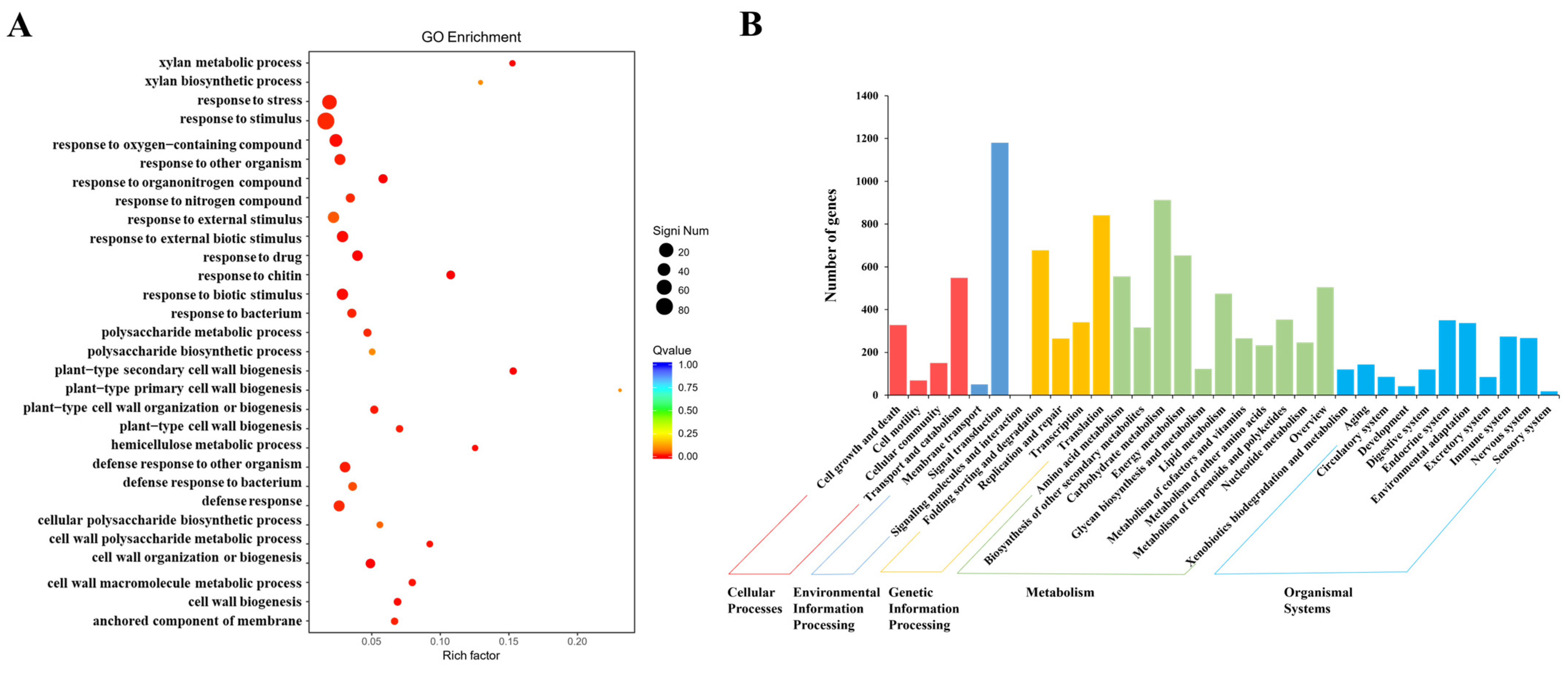 Ijms 26 06511 g004 Ijms 26 06511 g004