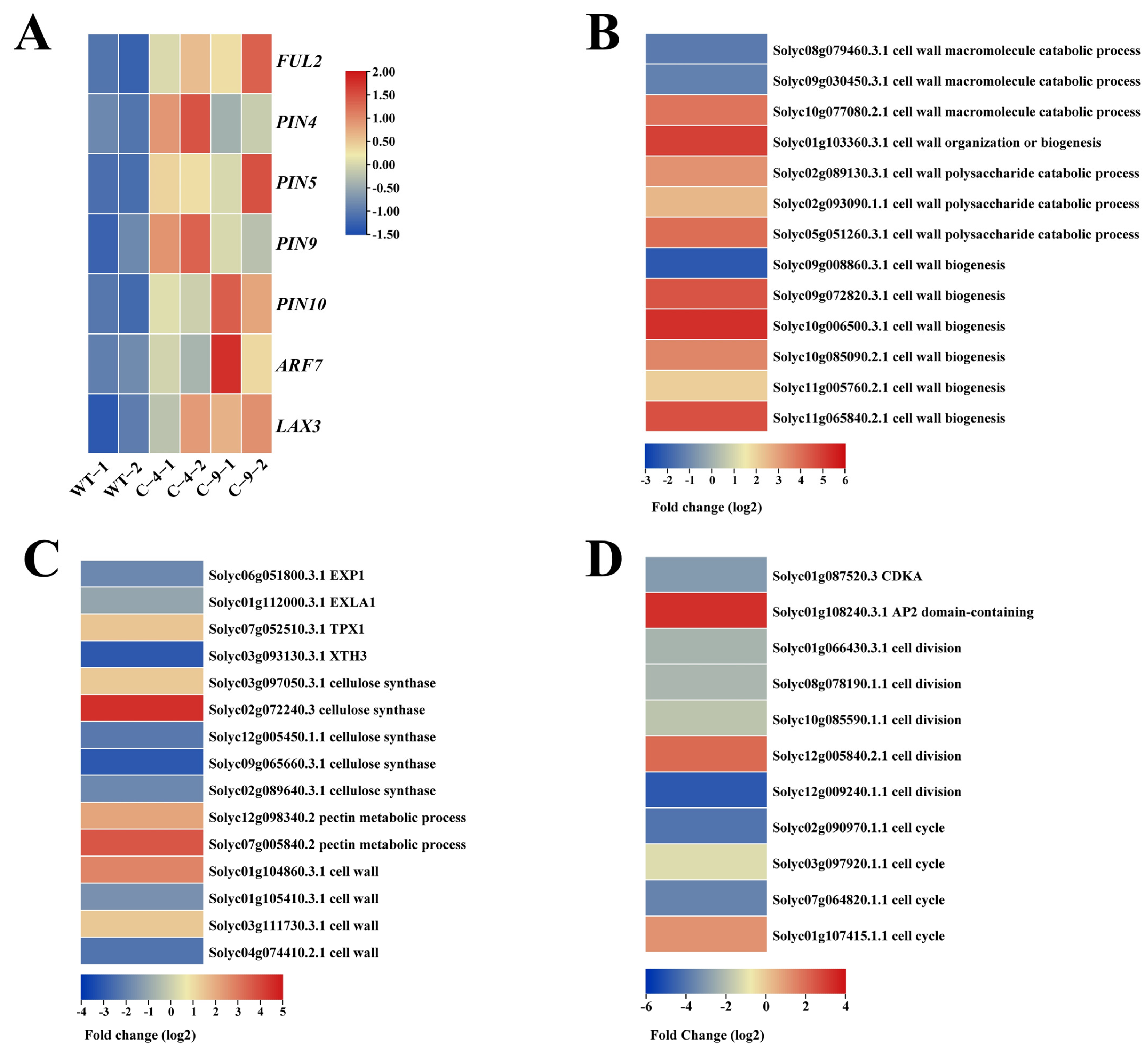 Ijms 26 06511 g005 Ijms 26 06511 g005