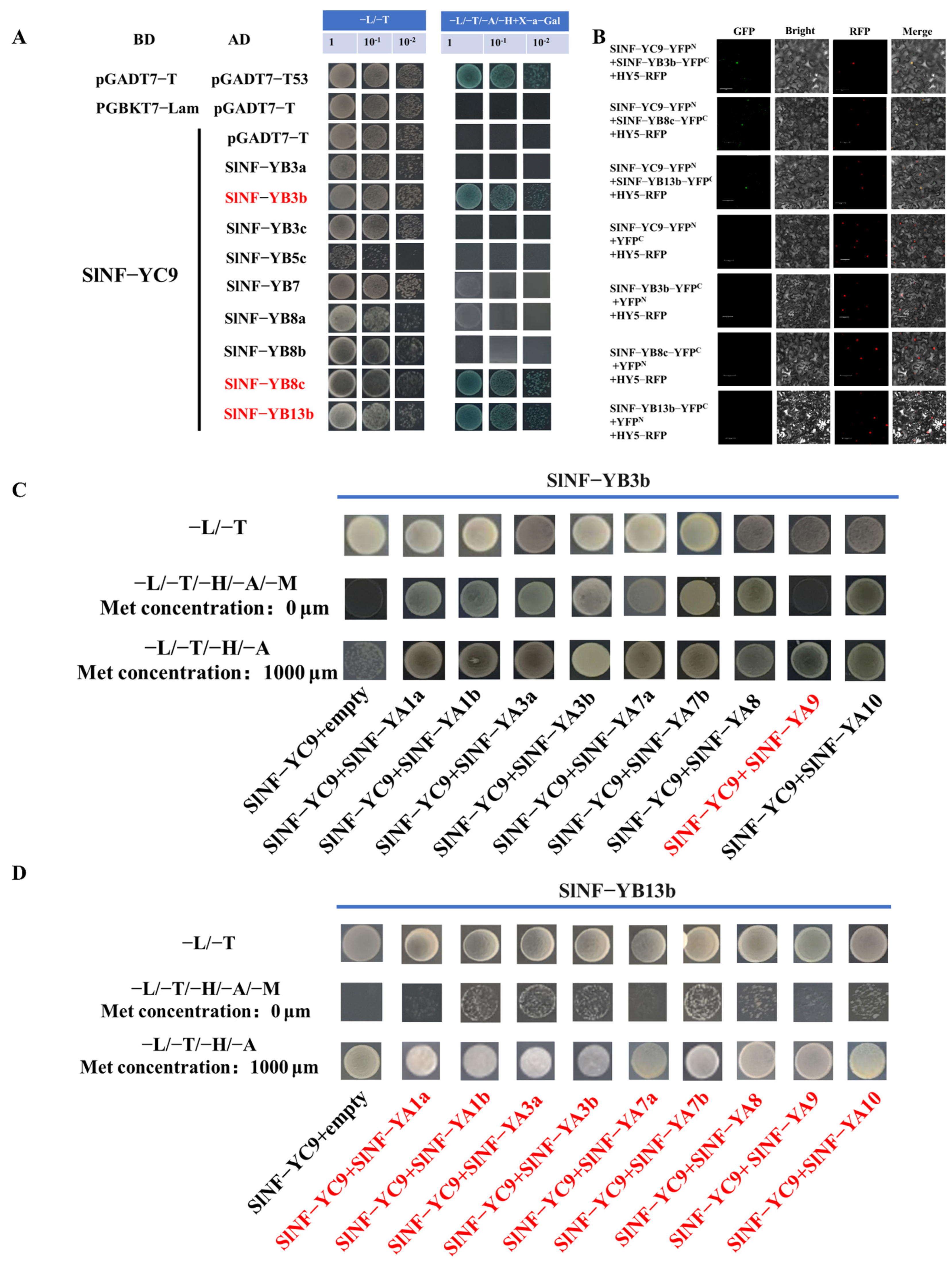 Ijms 26 06511 g006 Ijms 26 06511 g006